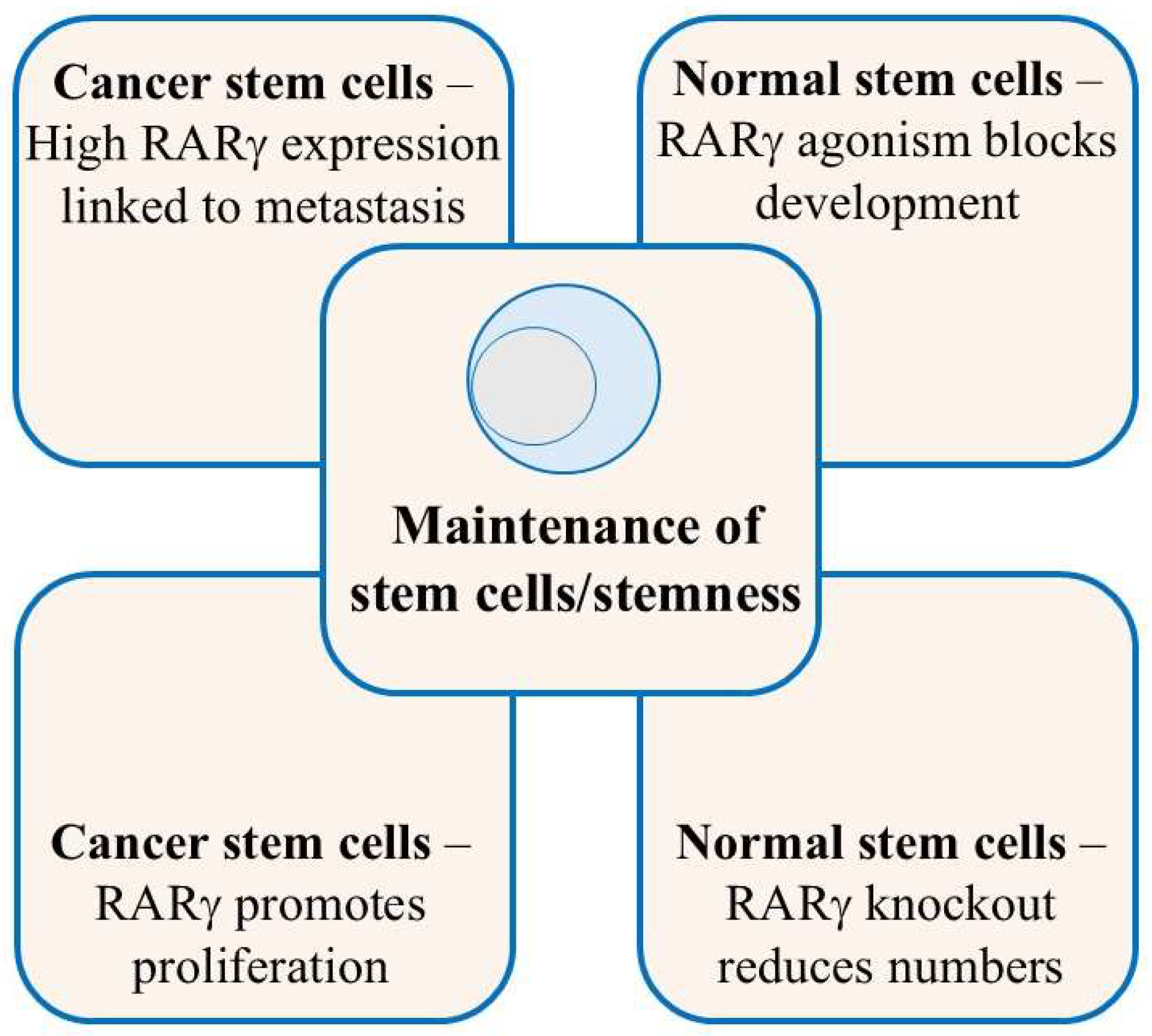 Preprints 155120 g001