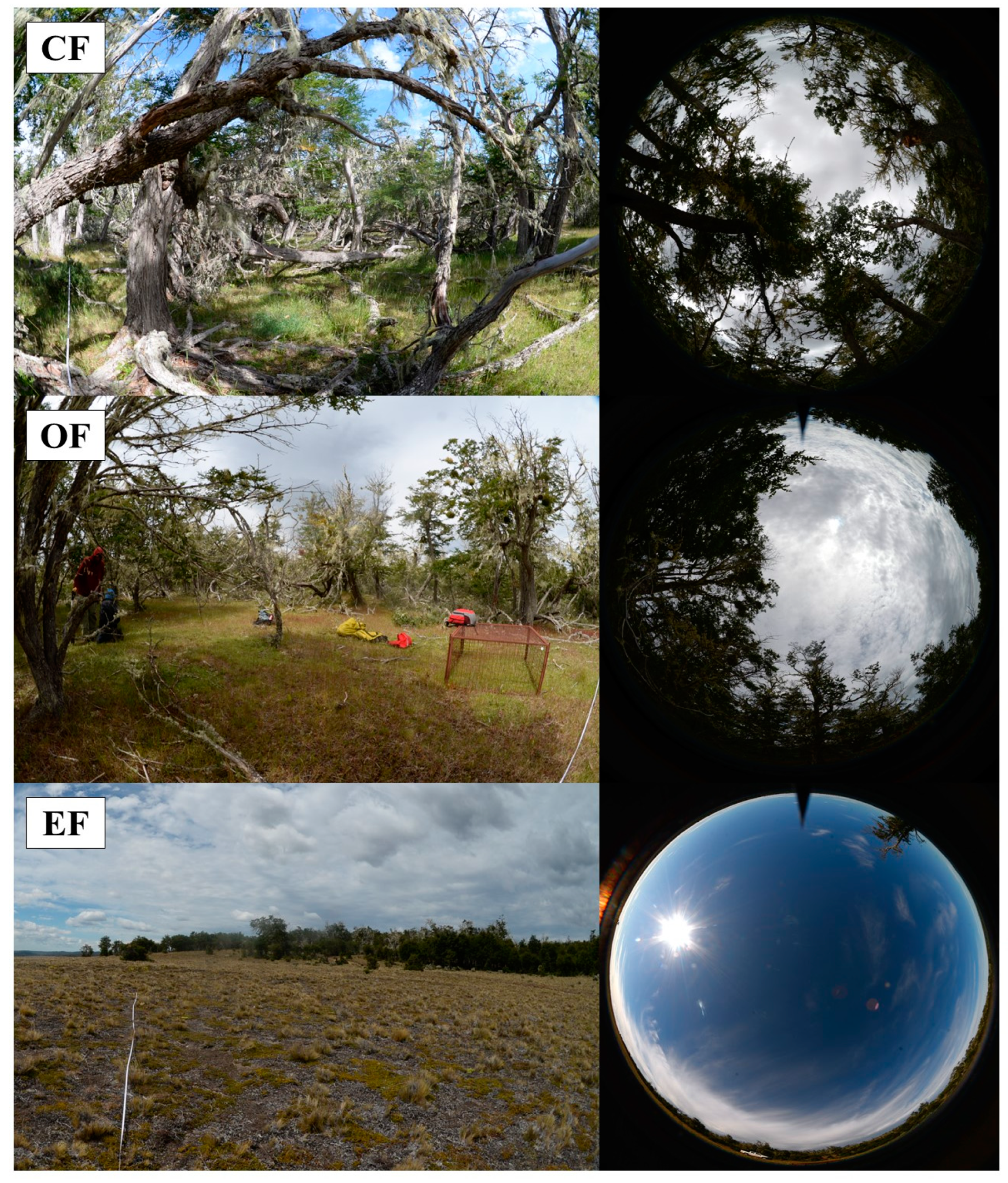 Preprints 71750 g001