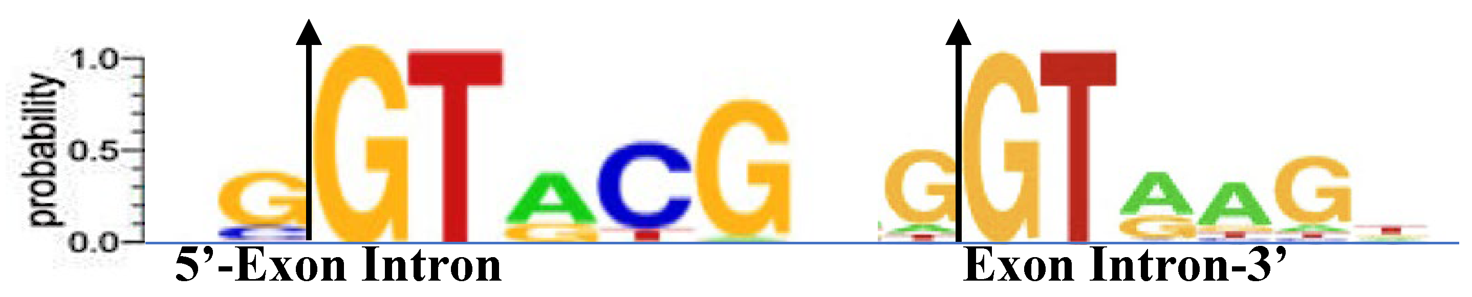 Preprints 155413 g006