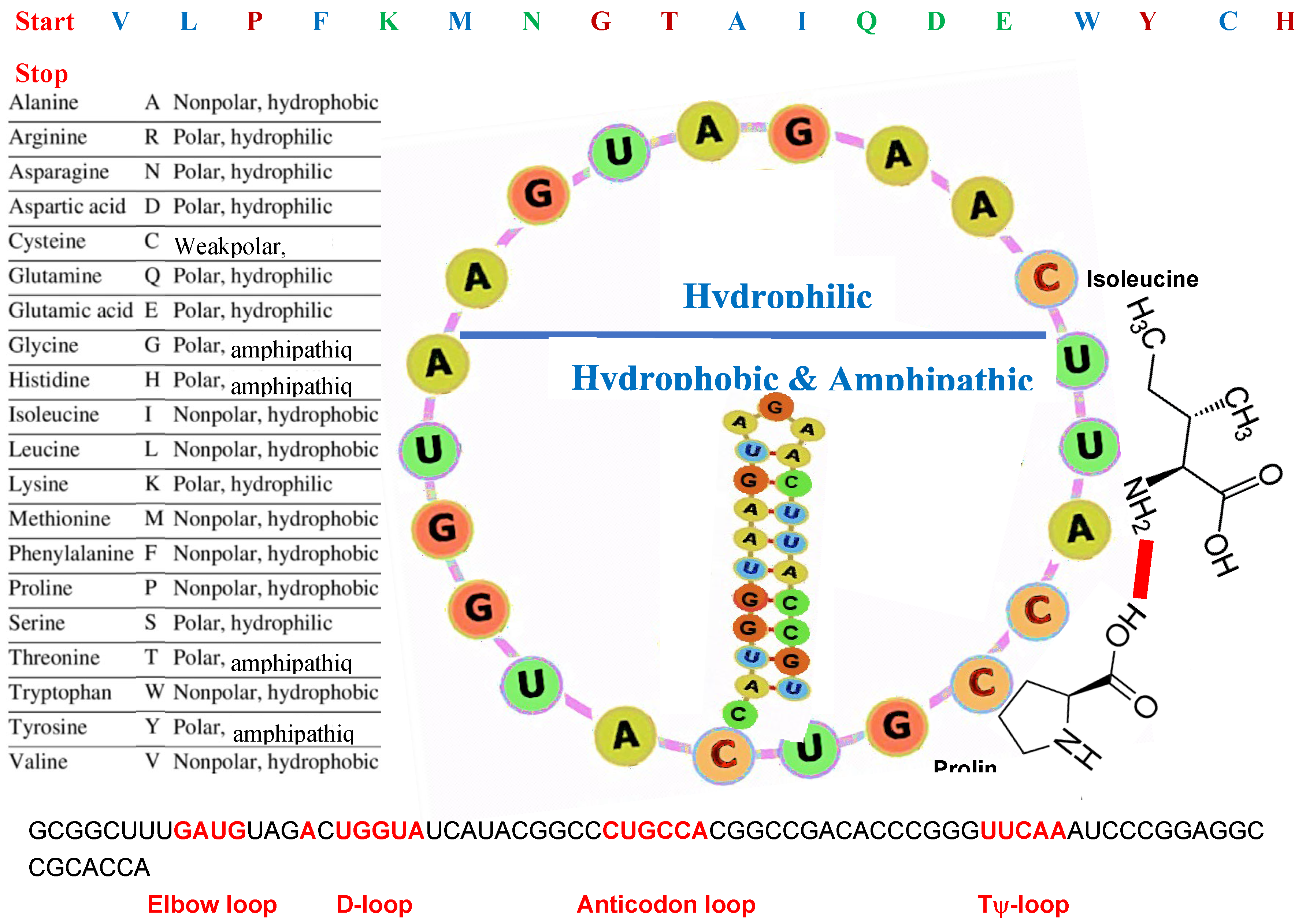 Preprints 155413 g007