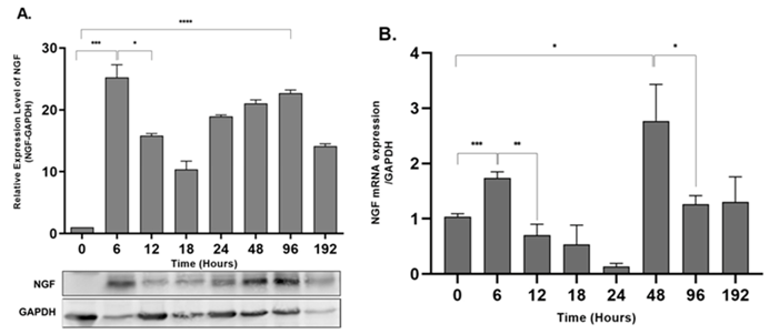 Preprints 100270 i001