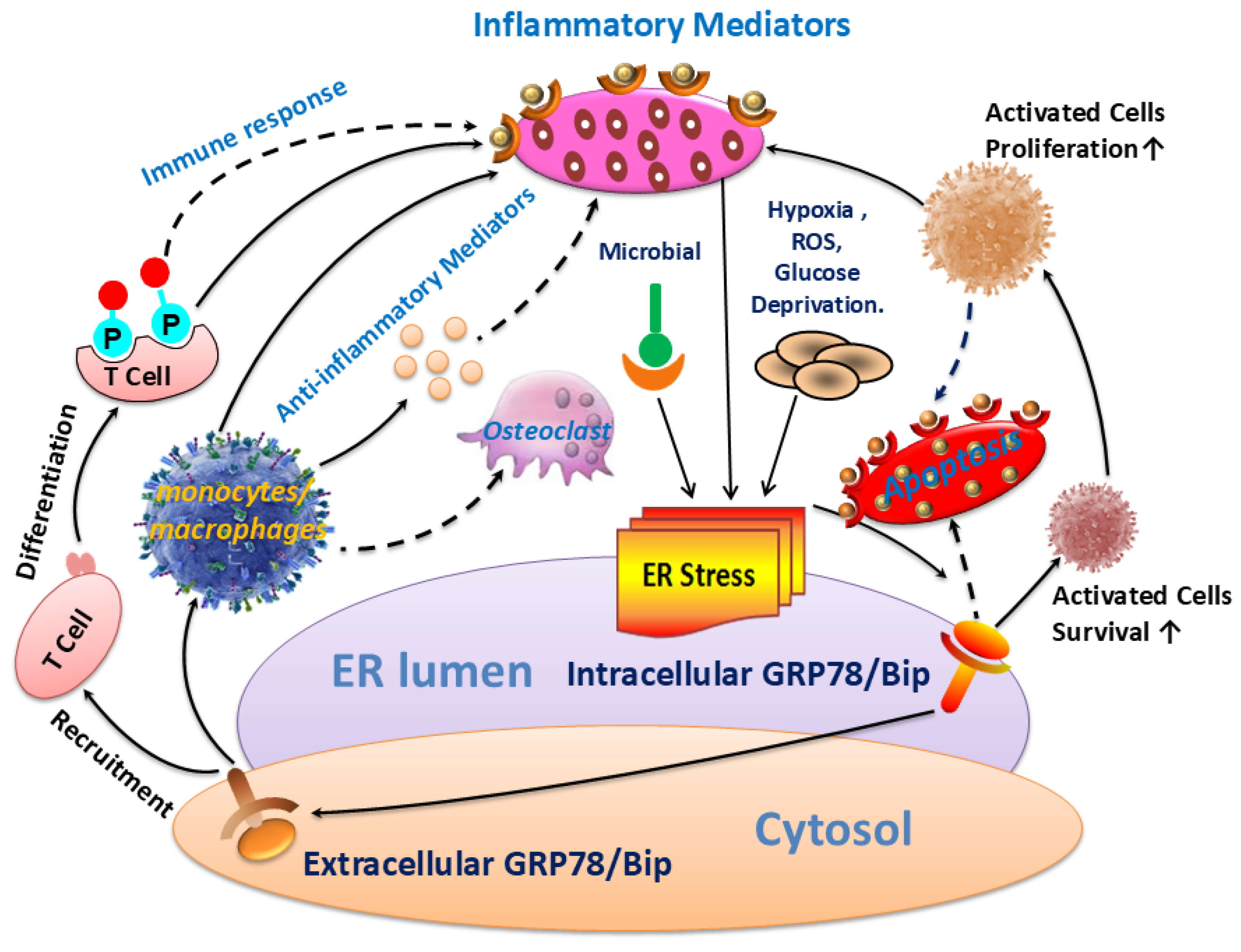 Preprints 117585 g005