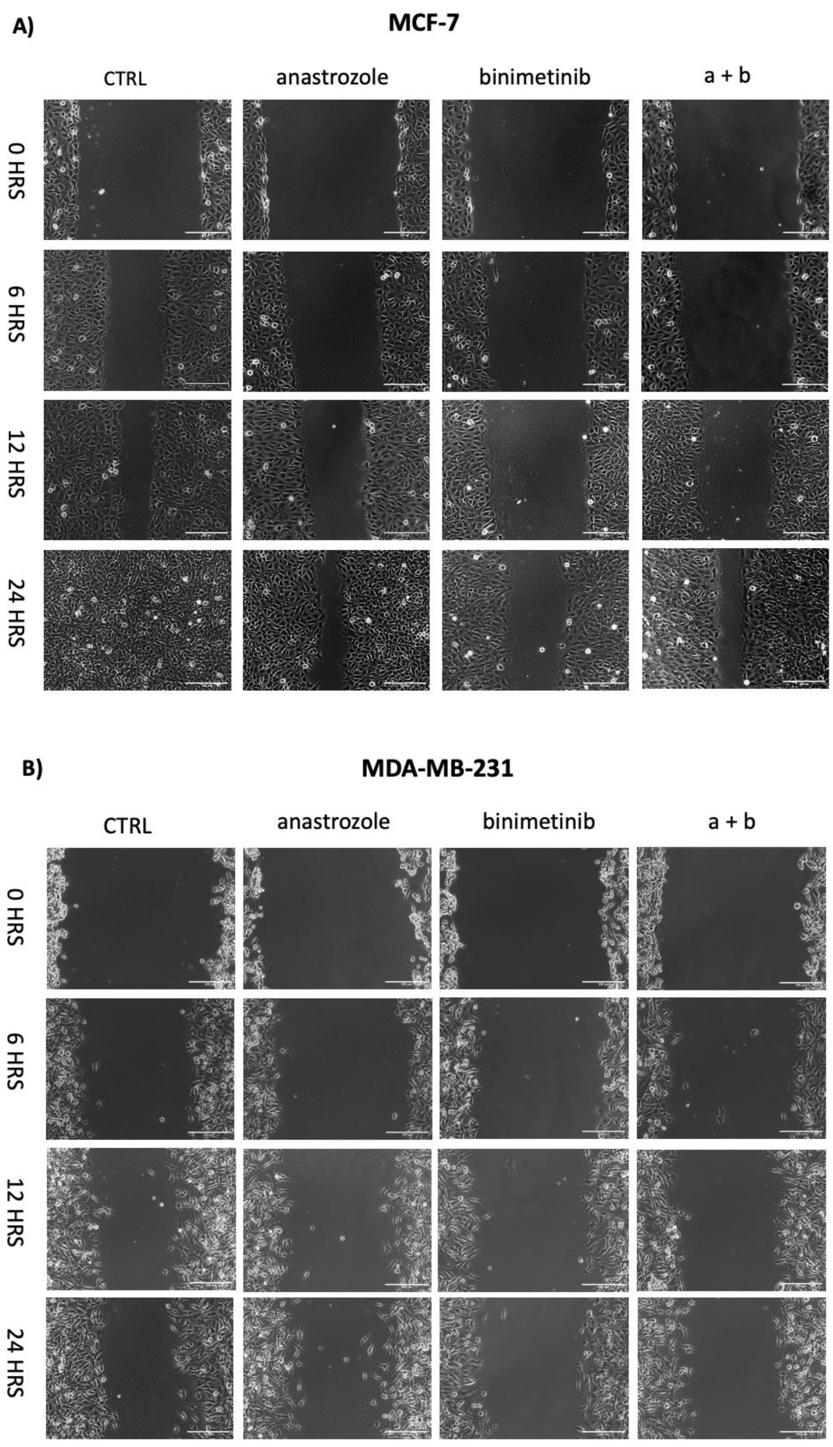 Preprints 184266 g006a
