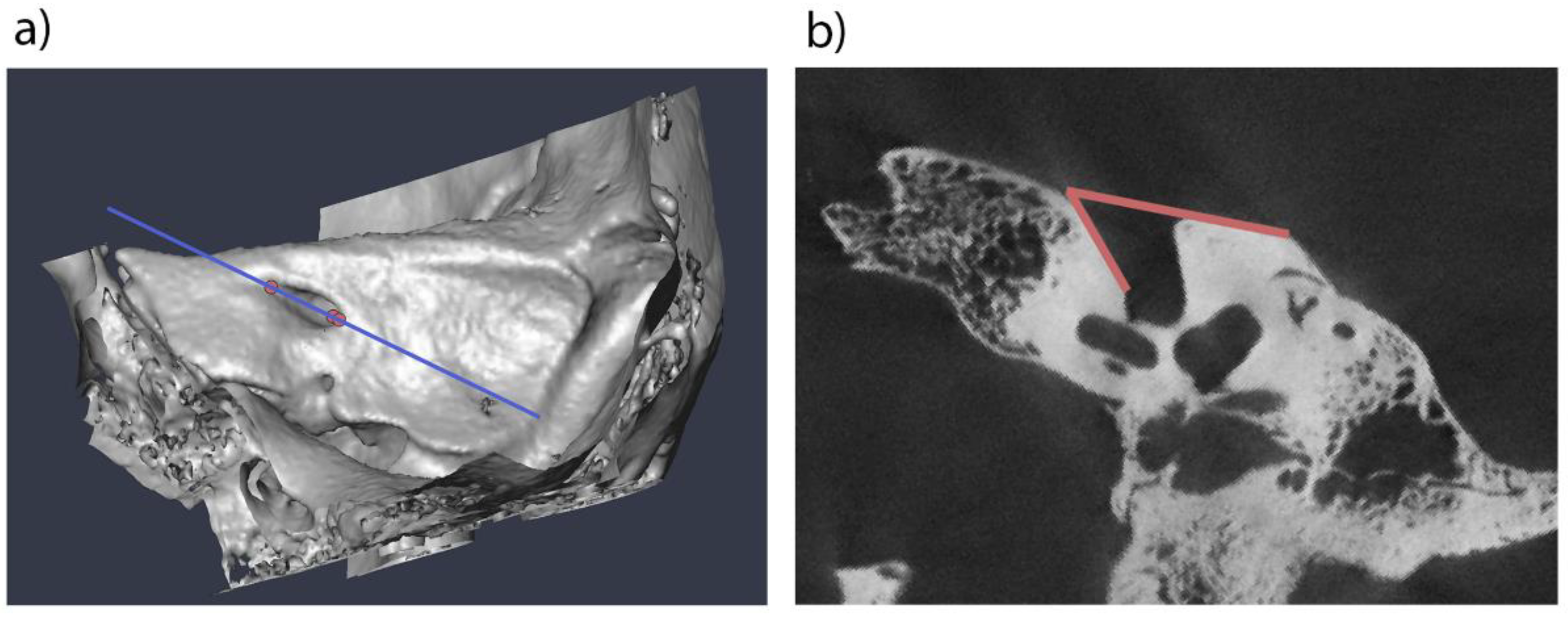 Preprints 158372 g001