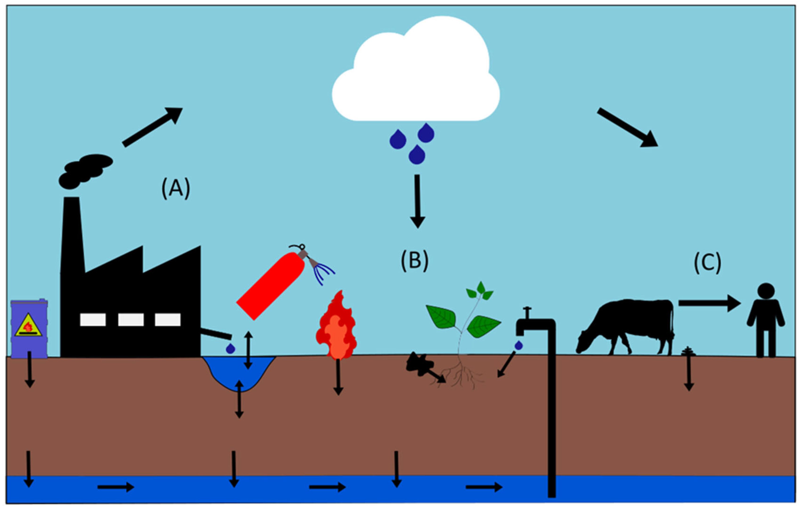 Preprints 166581 g003