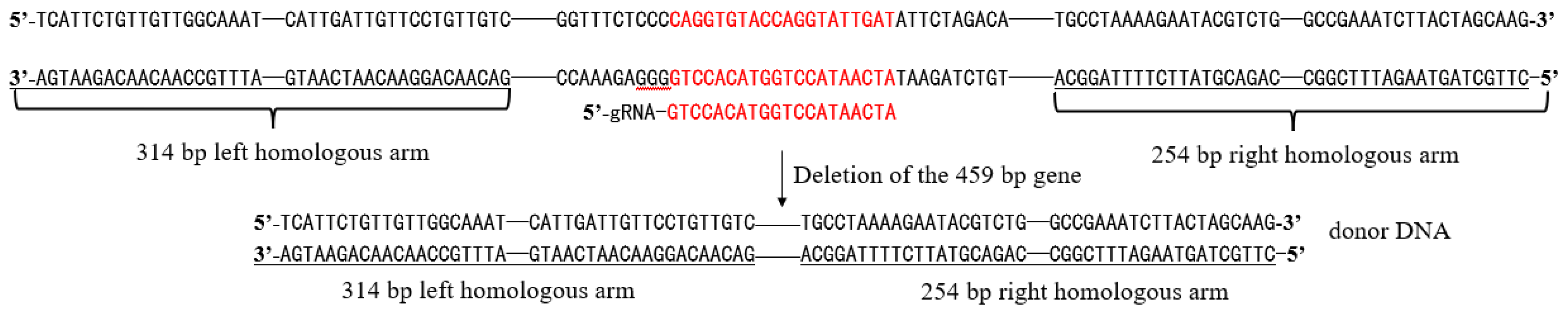Preprints 121886 g001