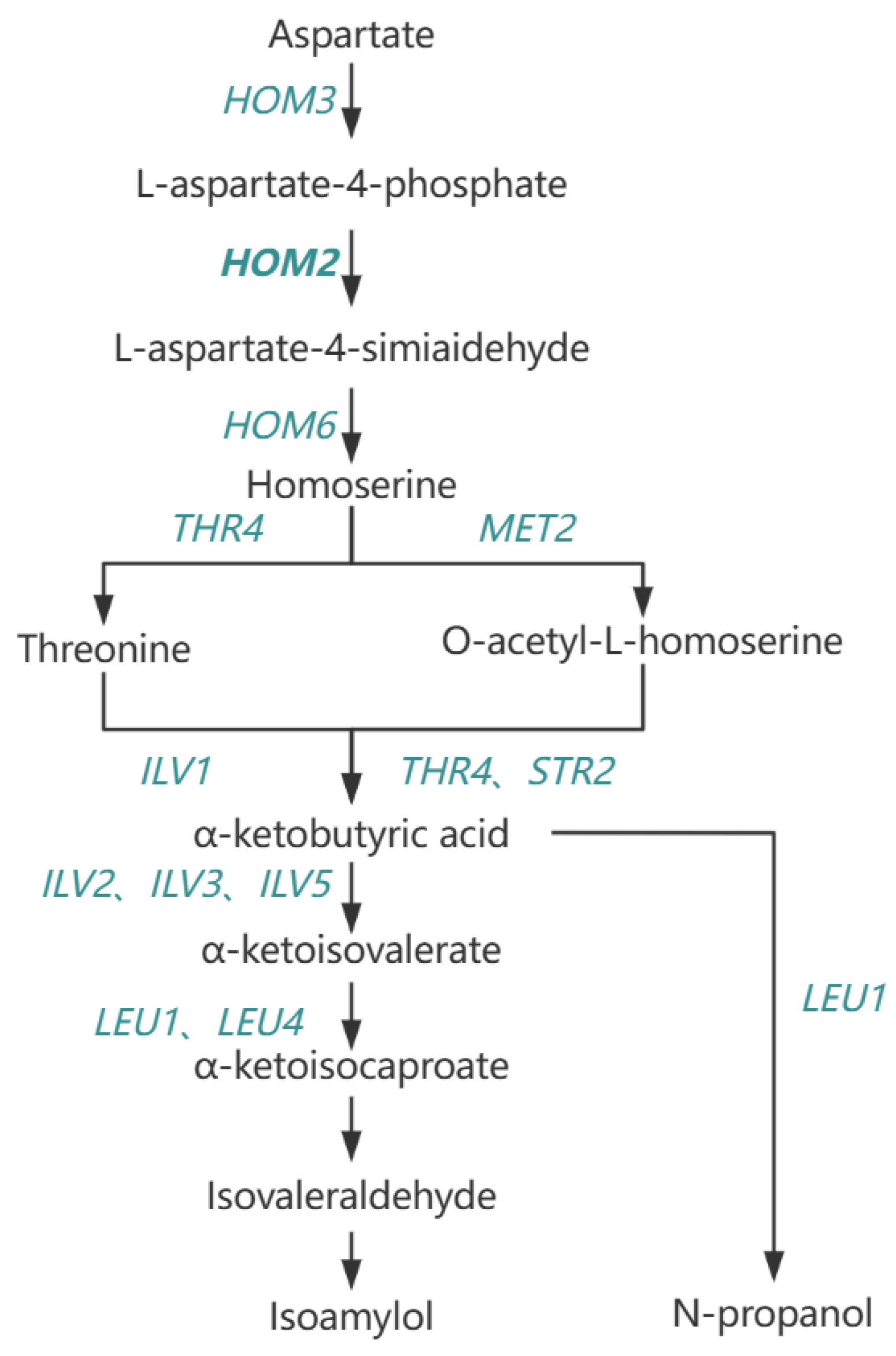 Preprints 121886 g011