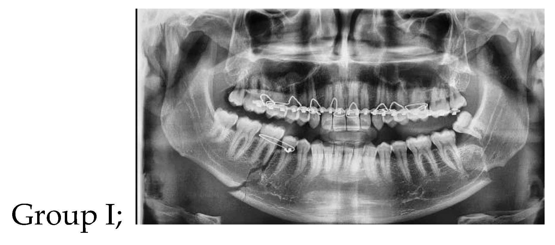 Preprints 146181 g001