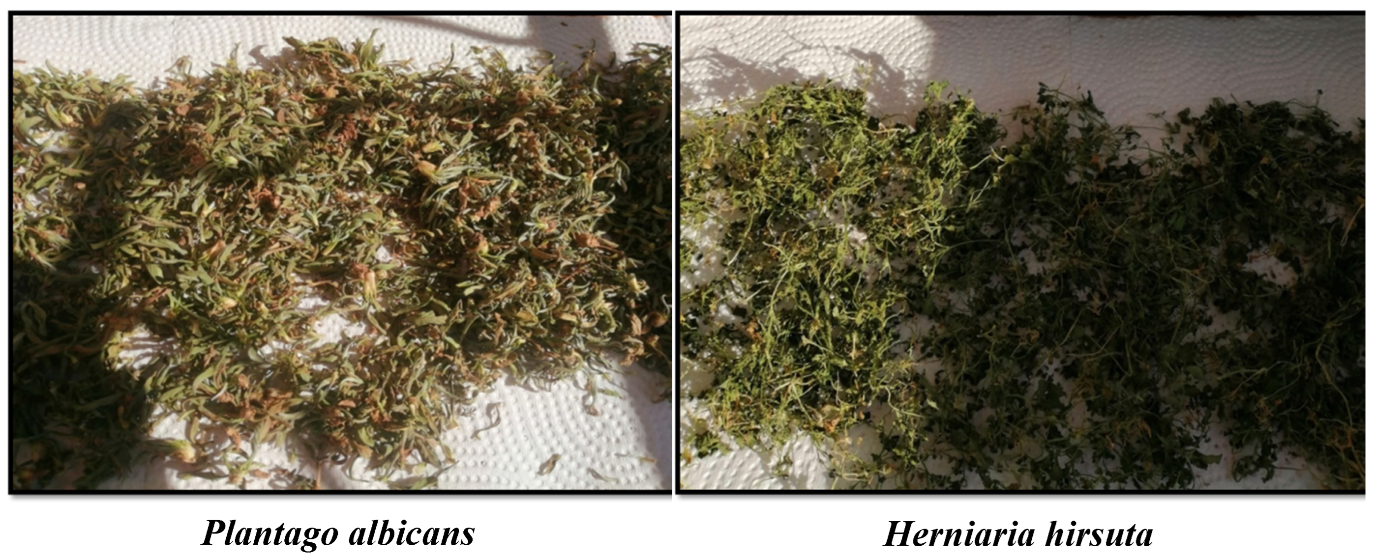 Preprints 140607 g001