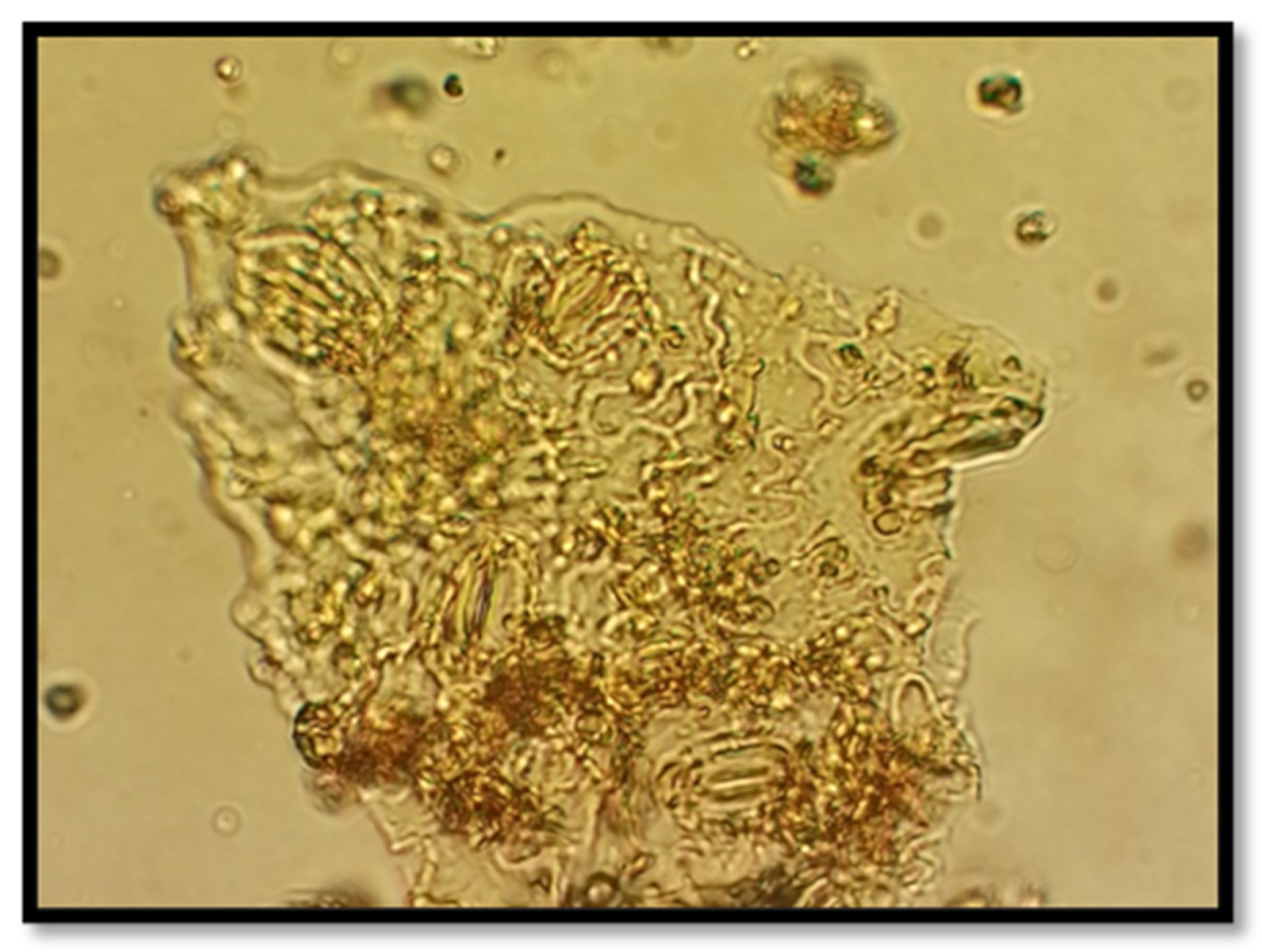 Preprints 140607 g002a