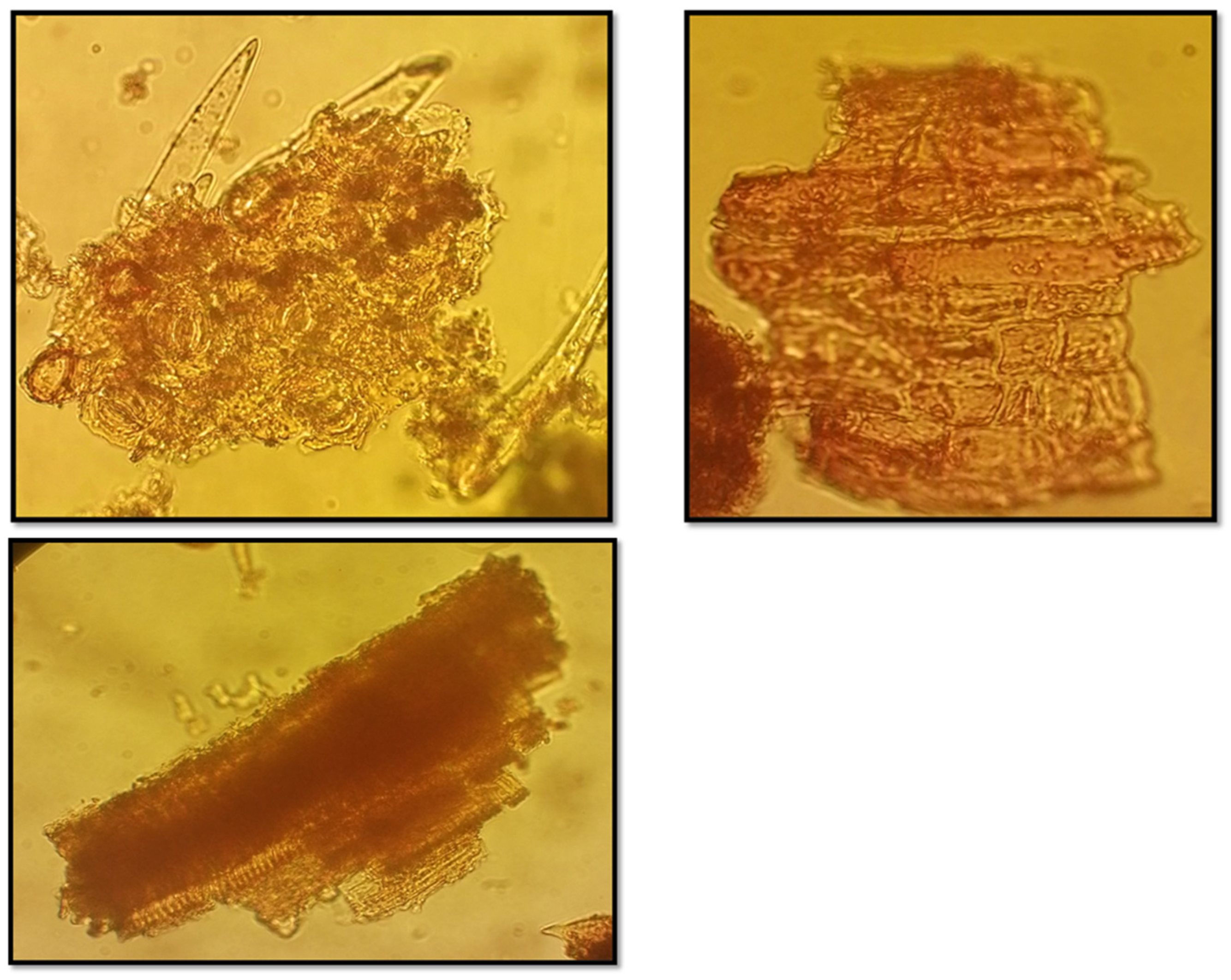 Preprints 140607 g003