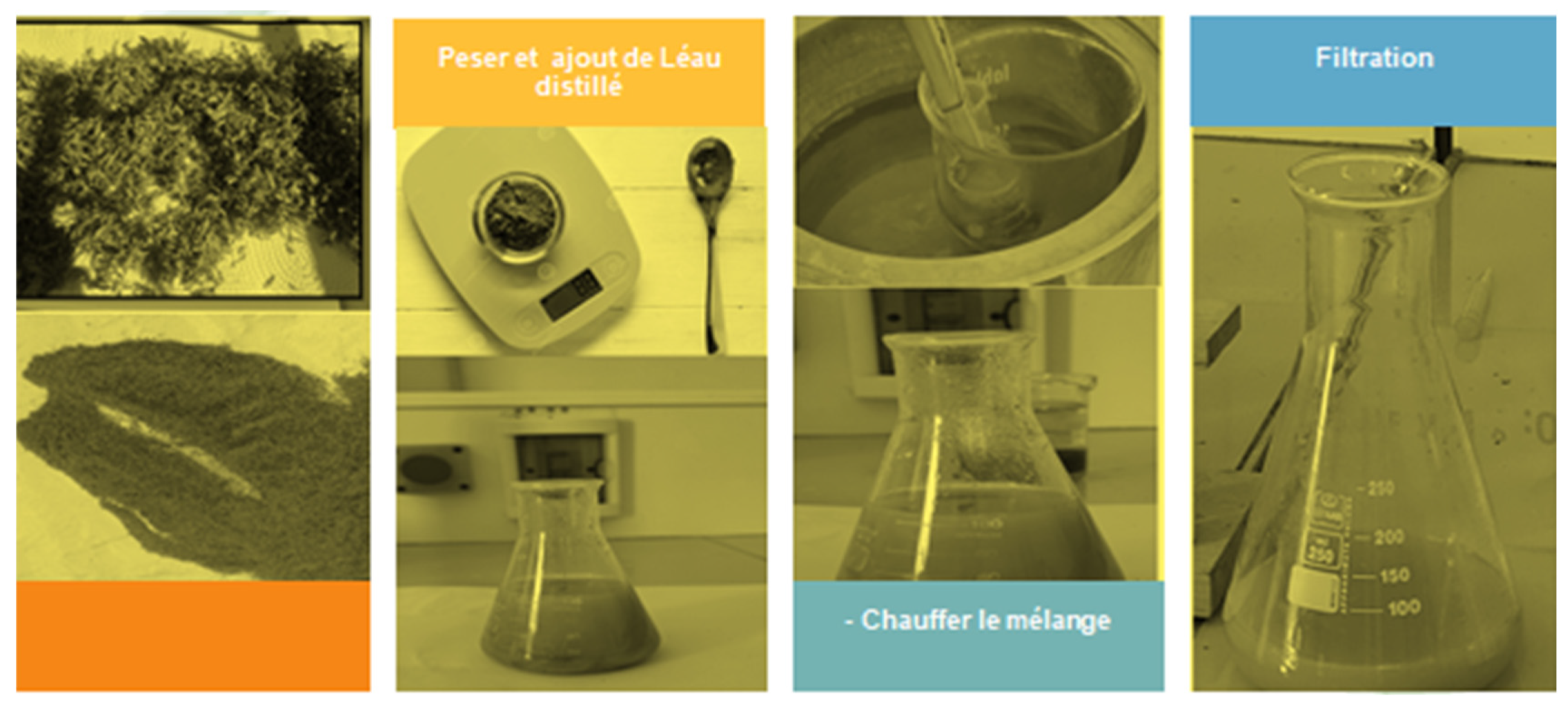 Preprints 140607 g004