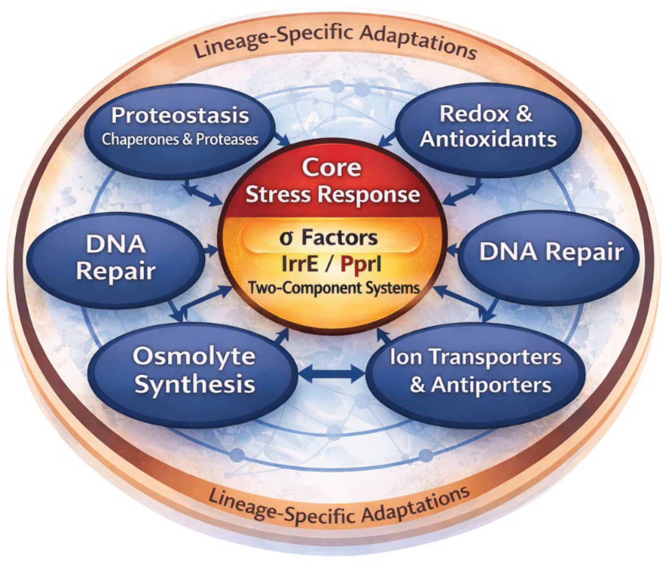 Preprints 200304 g003