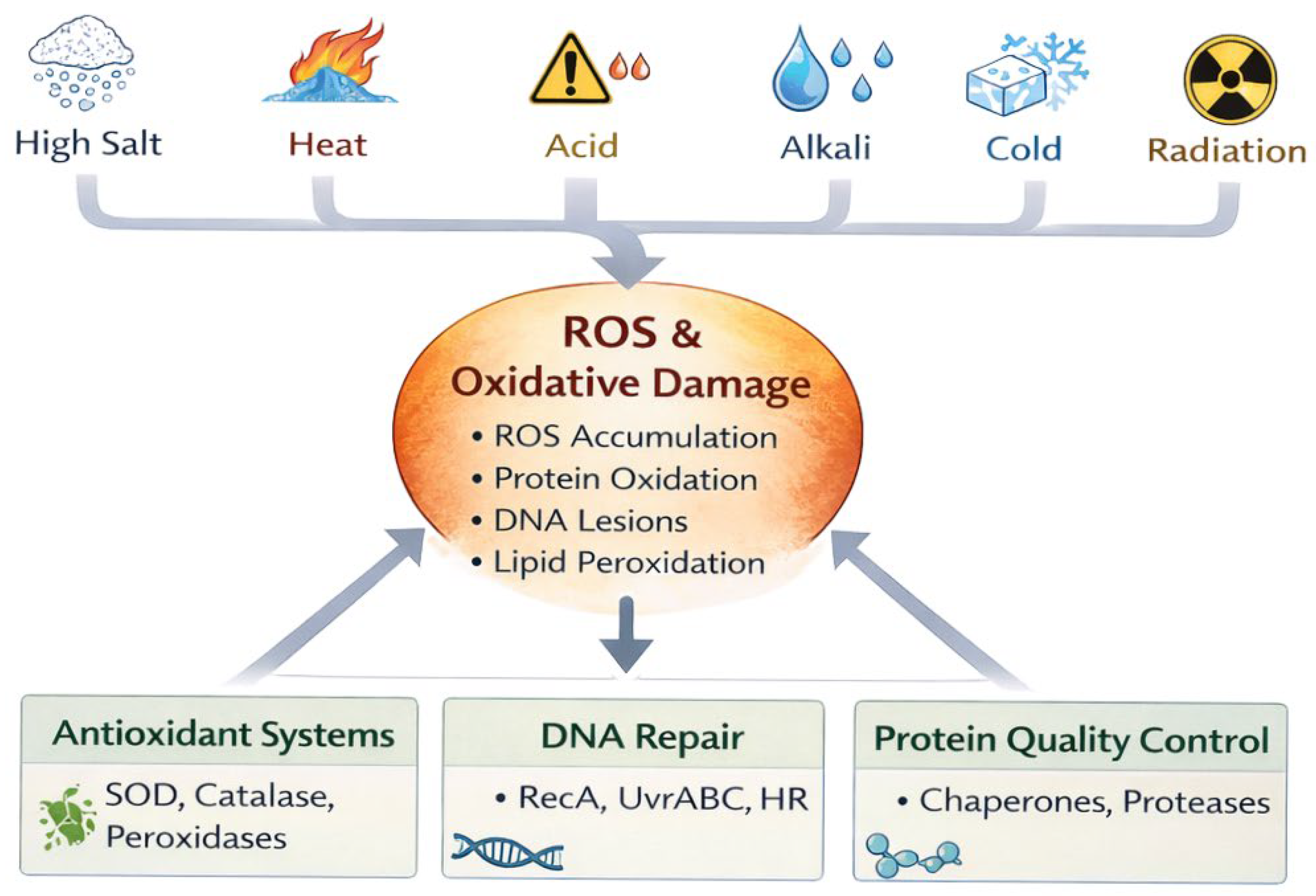 Preprints 200304 g004