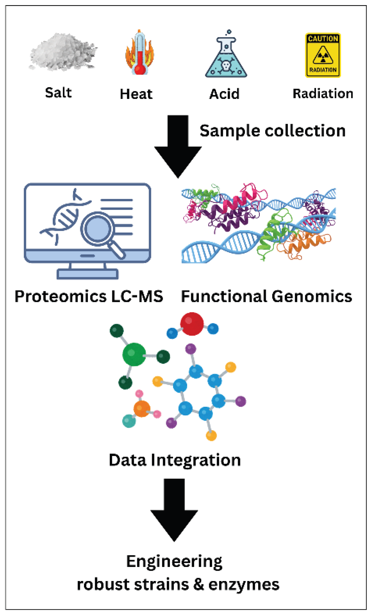 Preprints 200304 g005