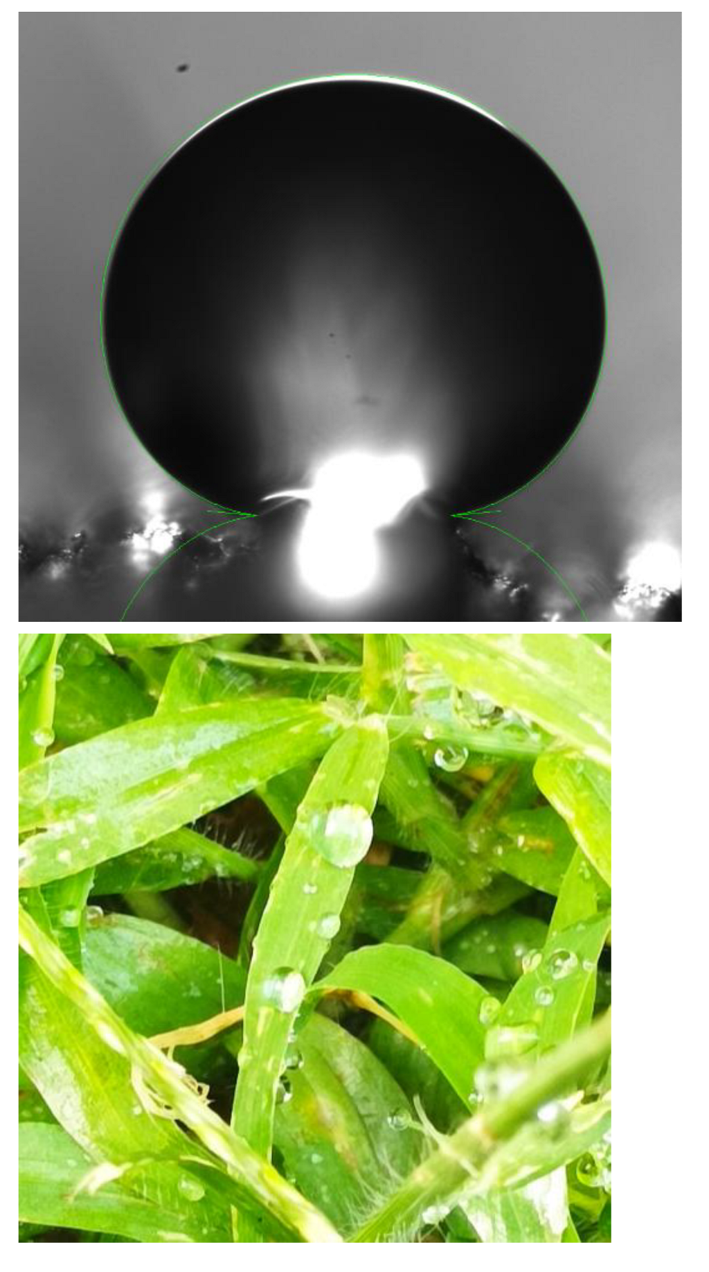 Preprints 151381 g001