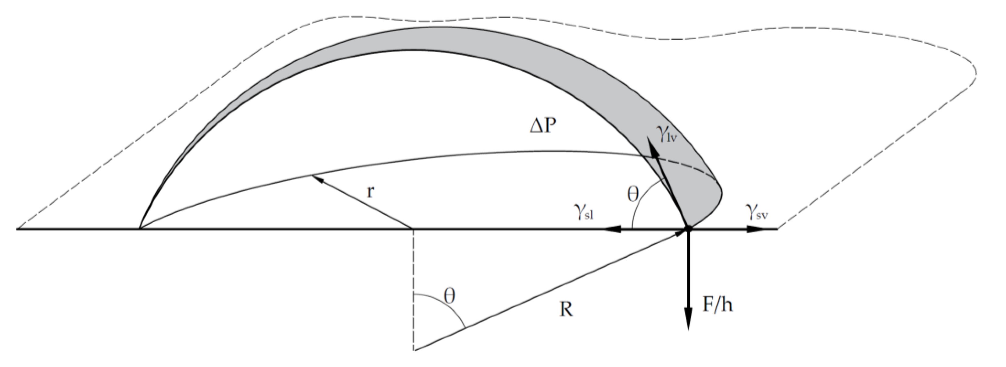 Preprints 151381 g002