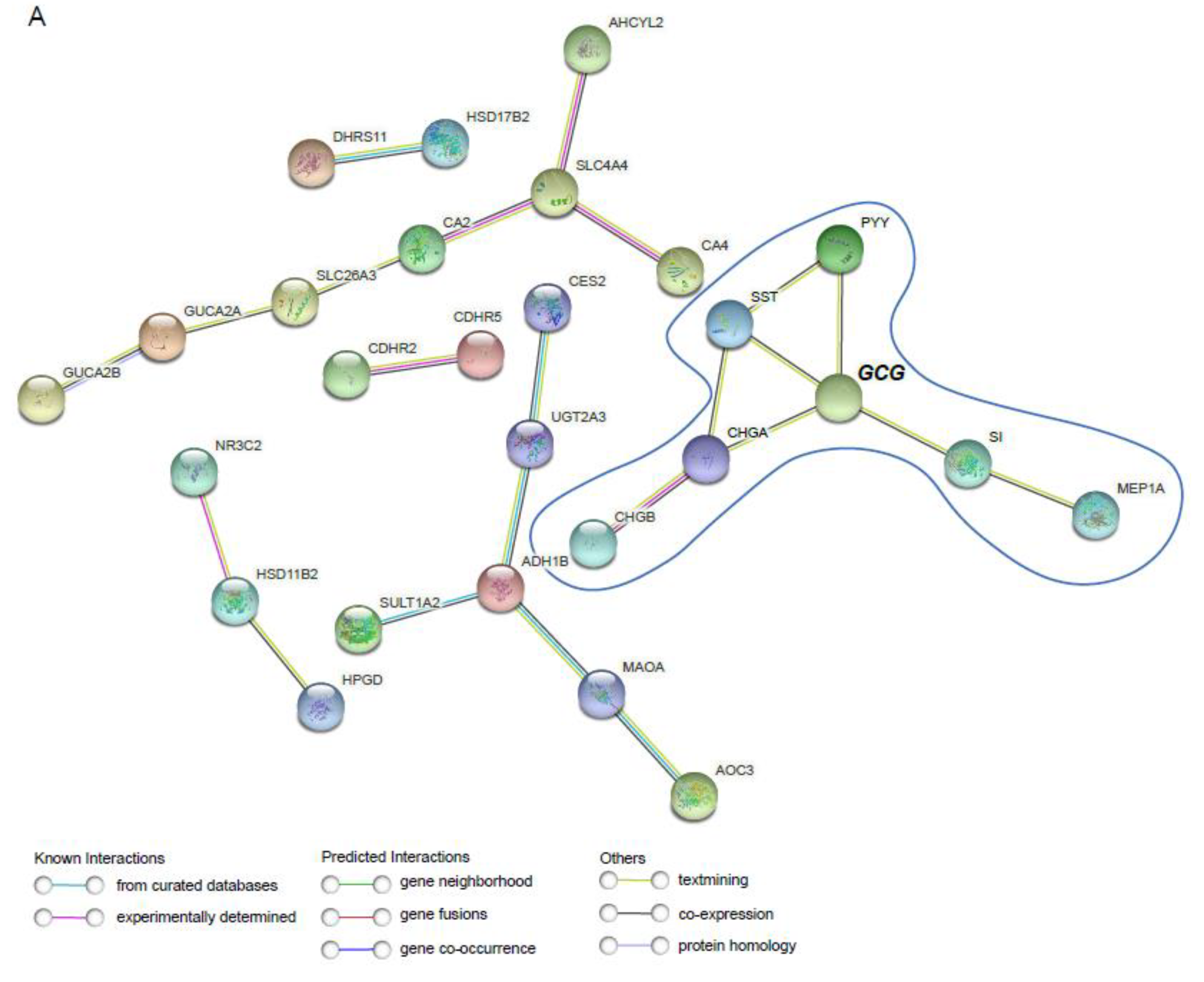 Preprints 179534 g004