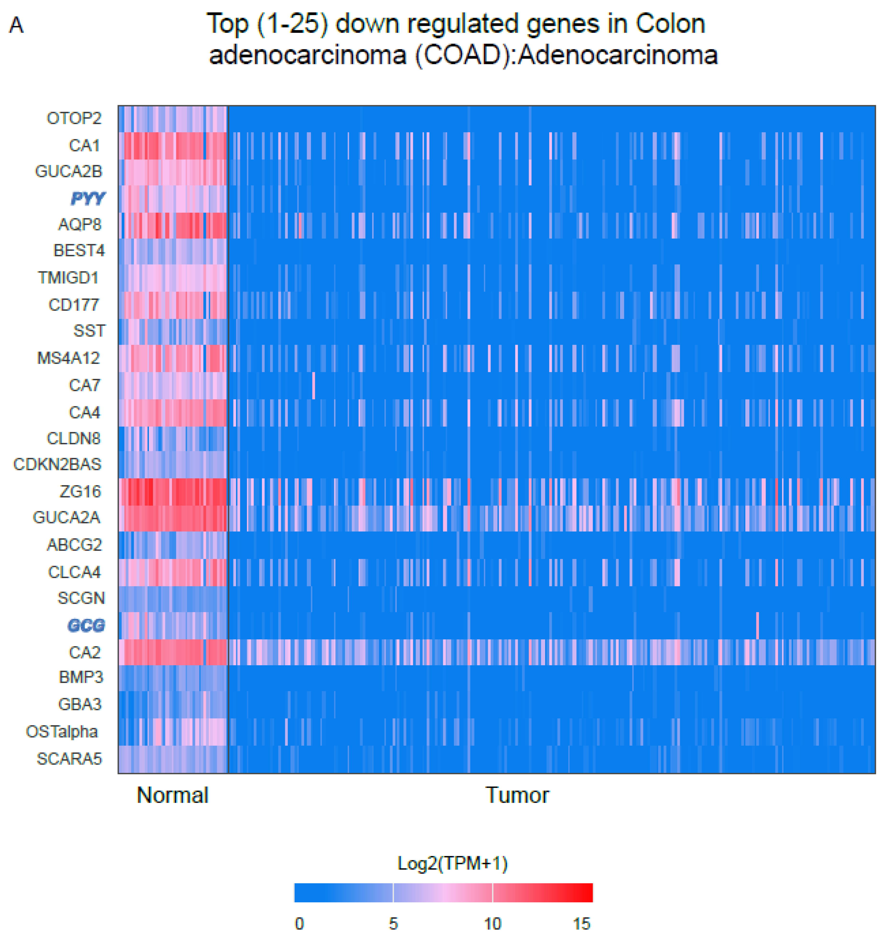 Preprints 179534 g005