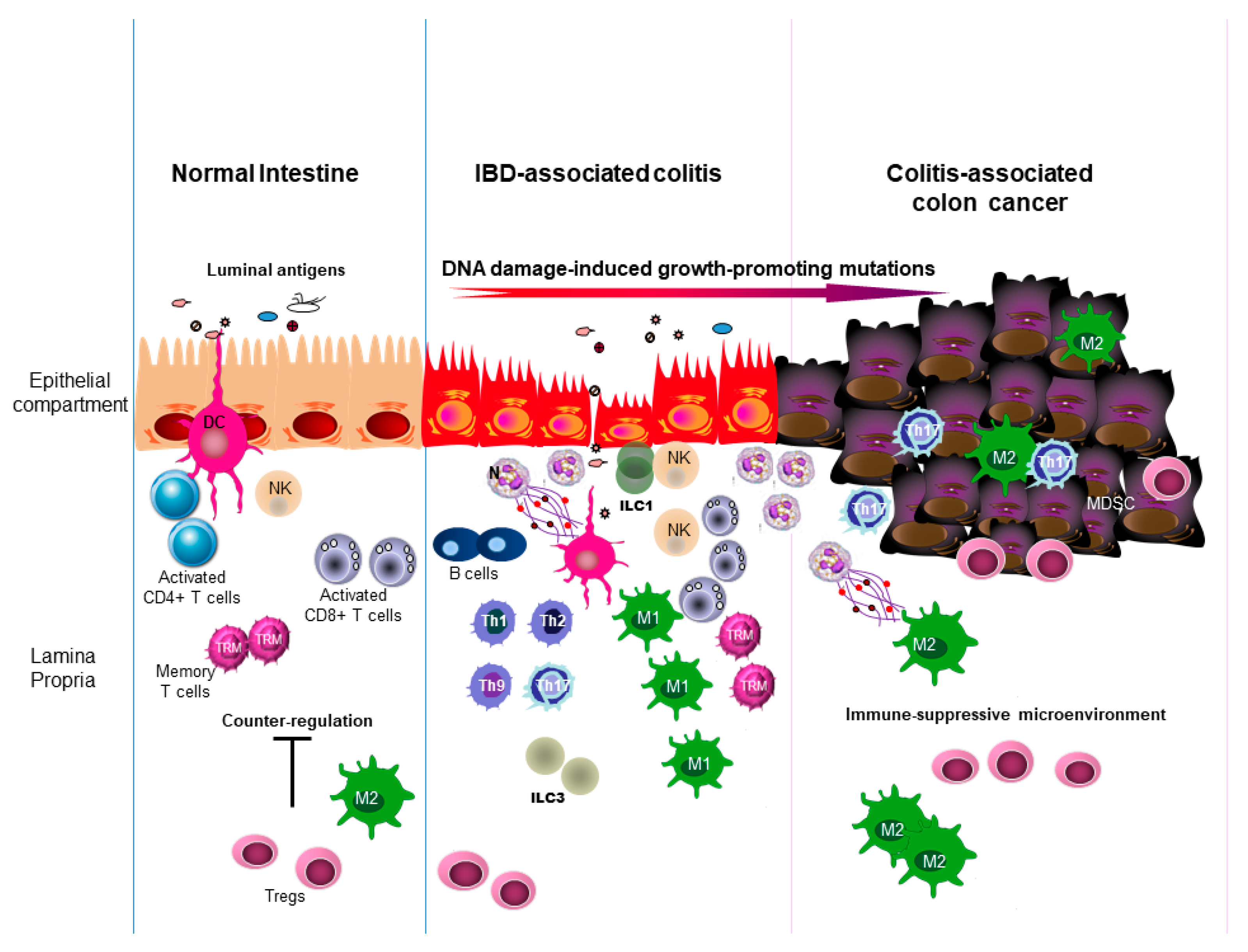Preprints 205214 g001 Preprints 205214 g001