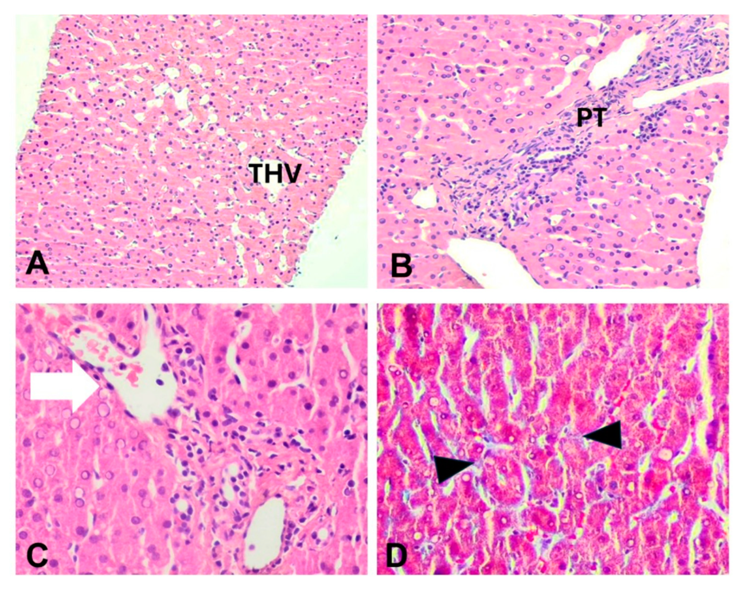 Preprints 155039 g001