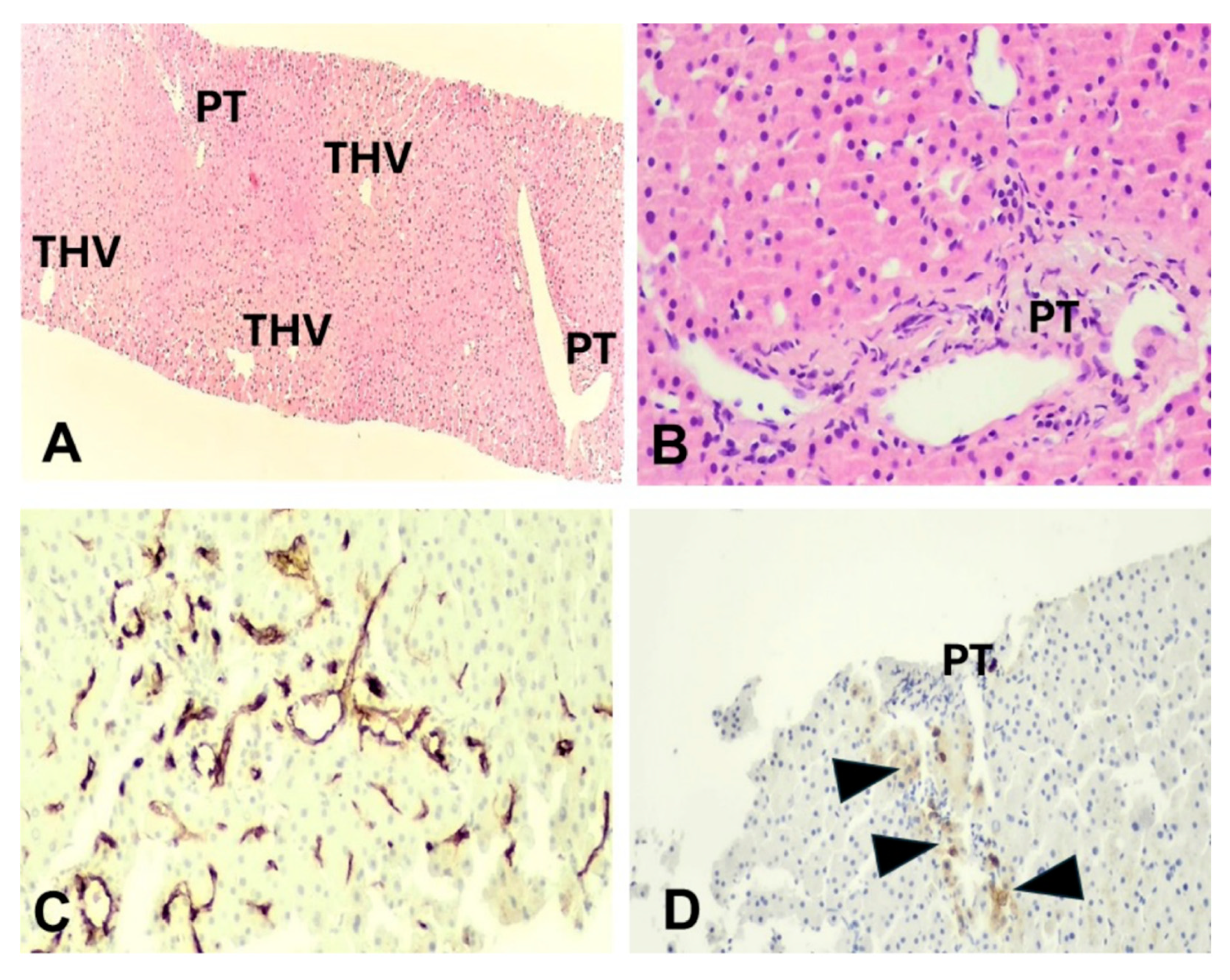 Preprints 155039 g002