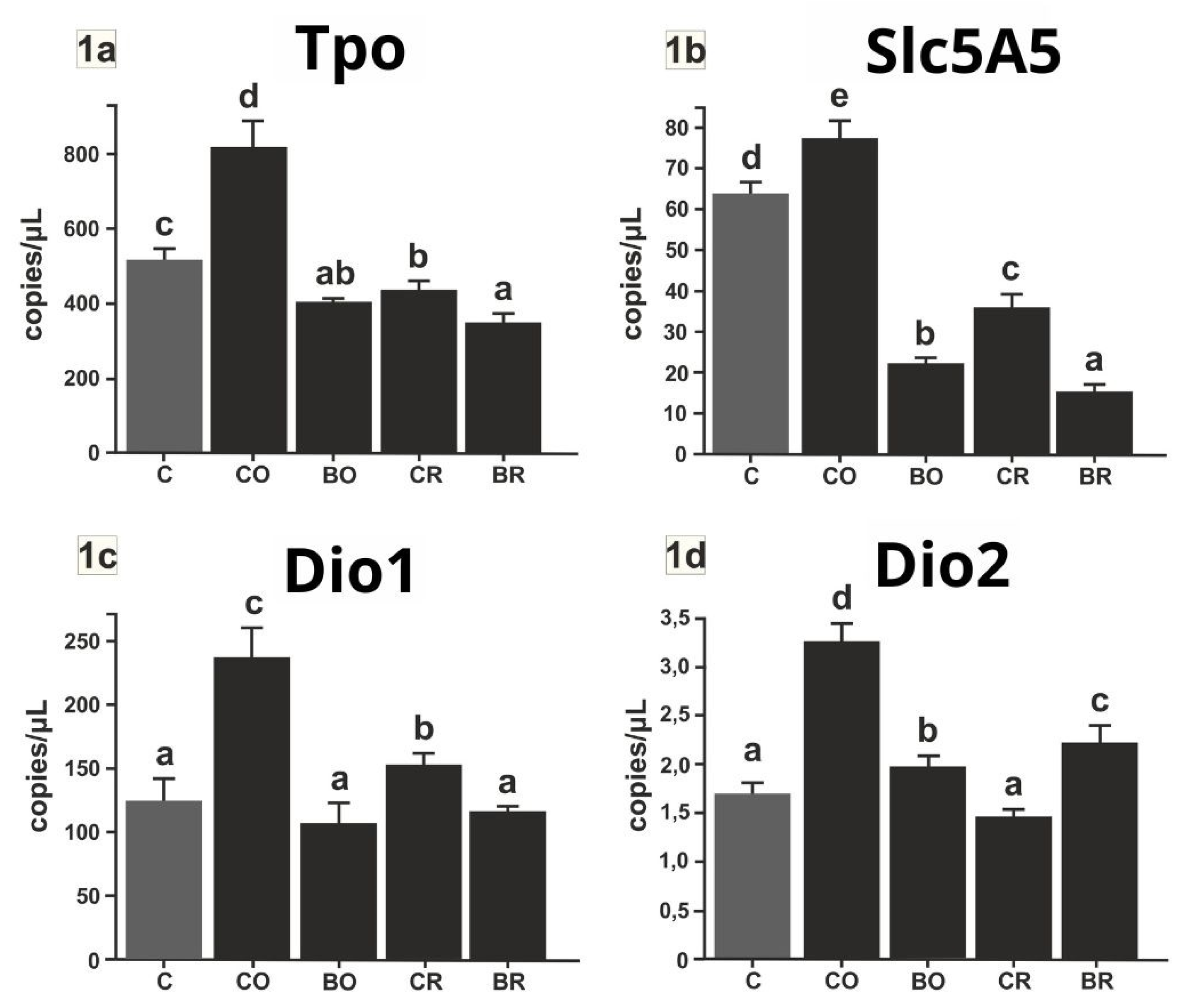 Preprints 142680 g001
