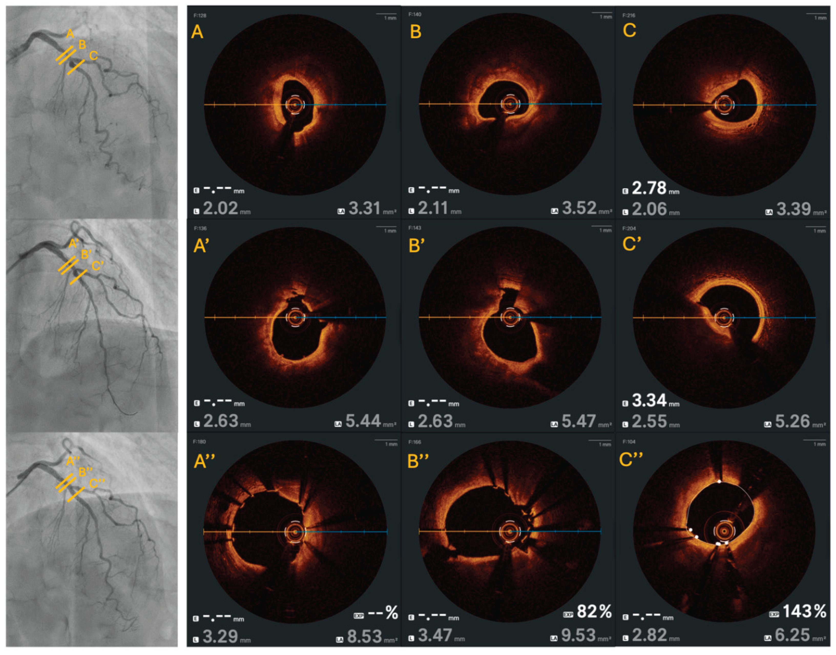 Preprints 199254 g002
