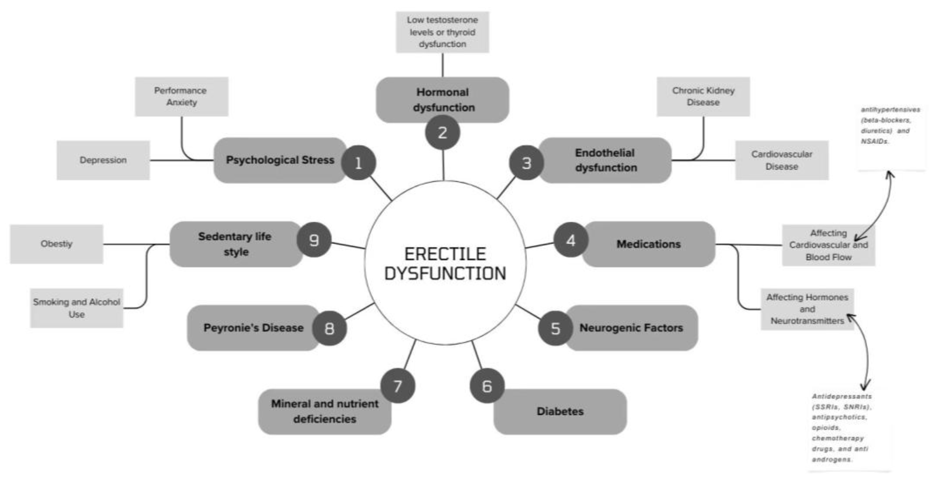Preprints 150936 g004