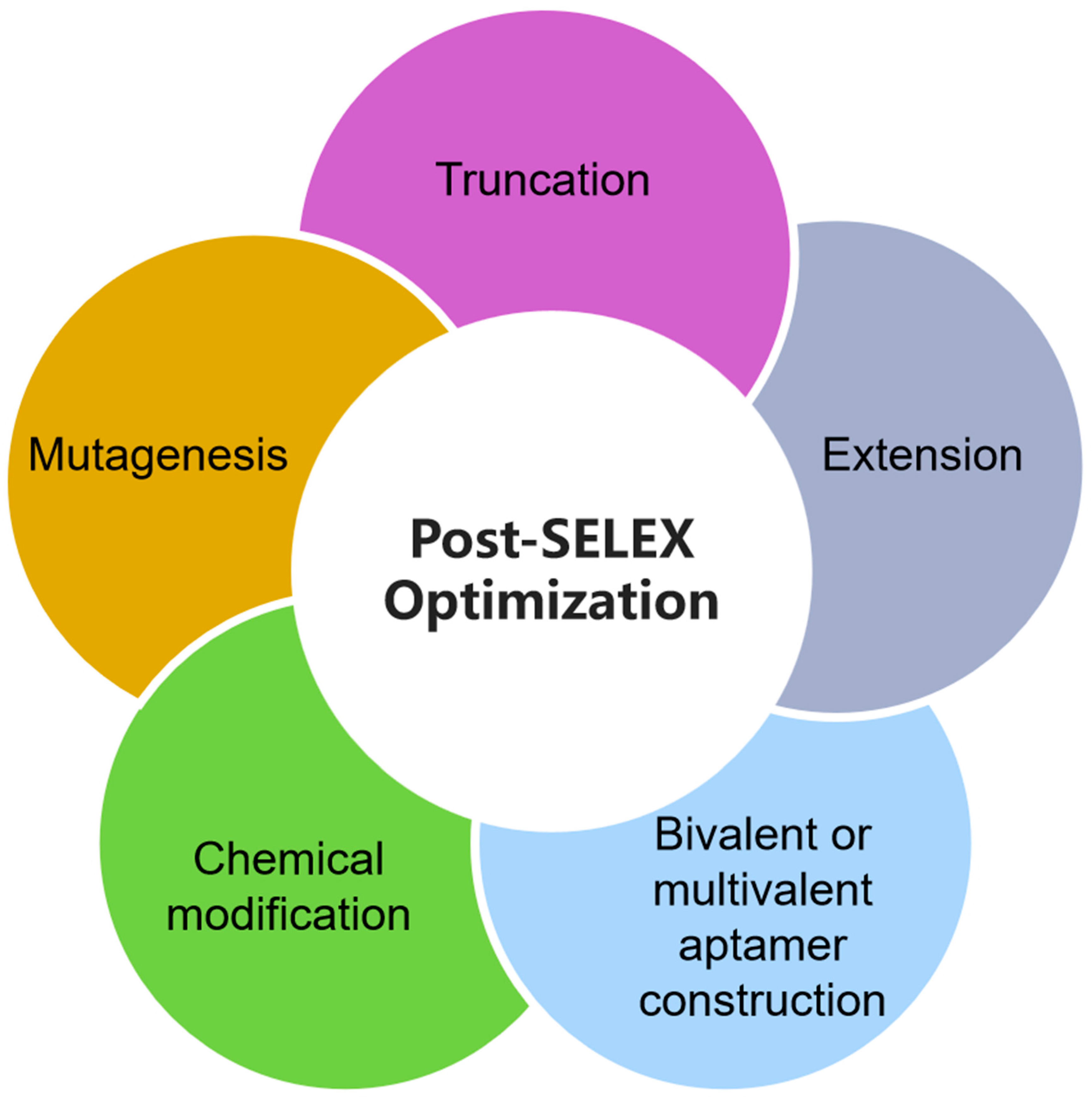 Preprints 171846 g004