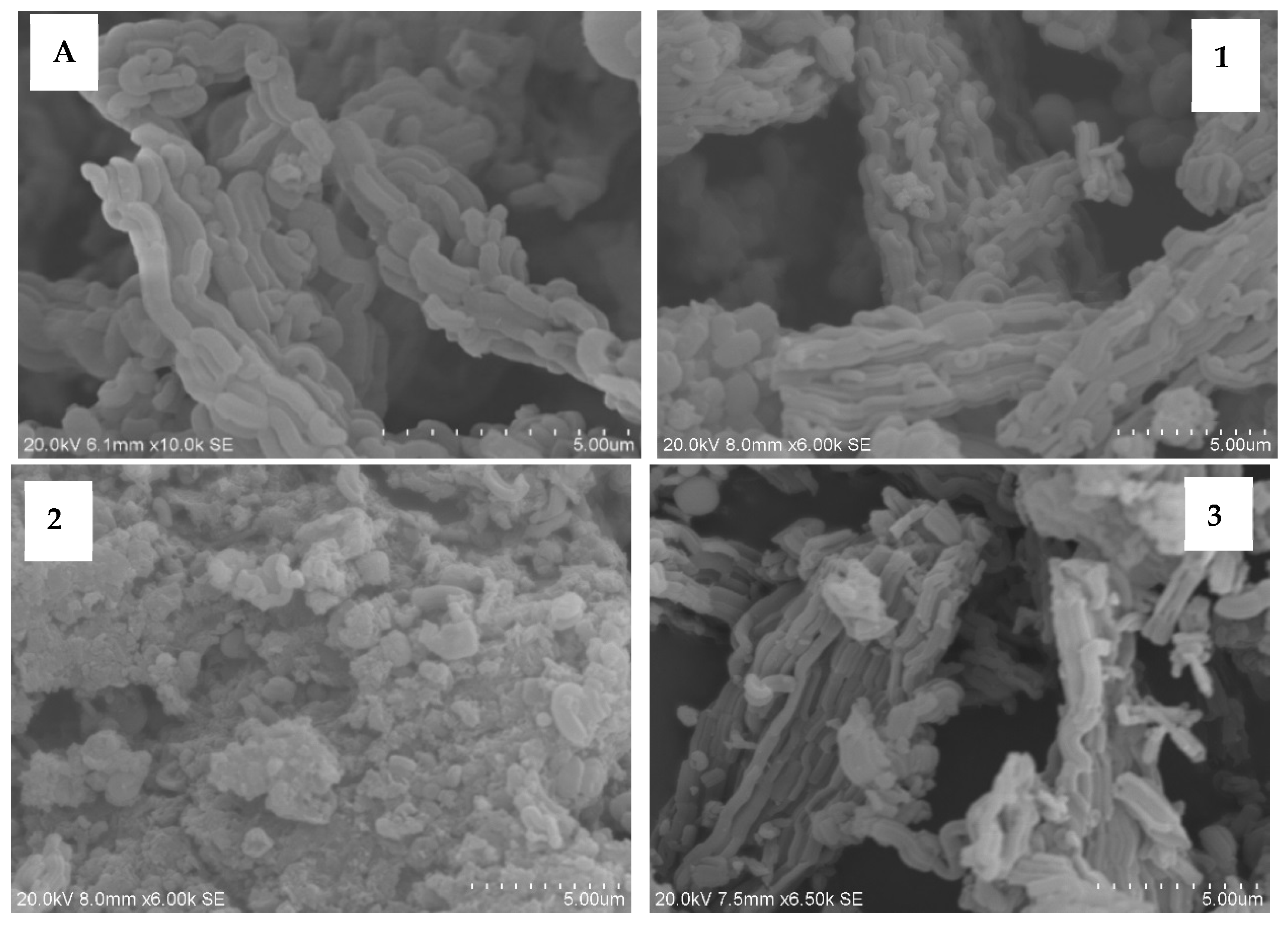 Preprints 150621 g001a