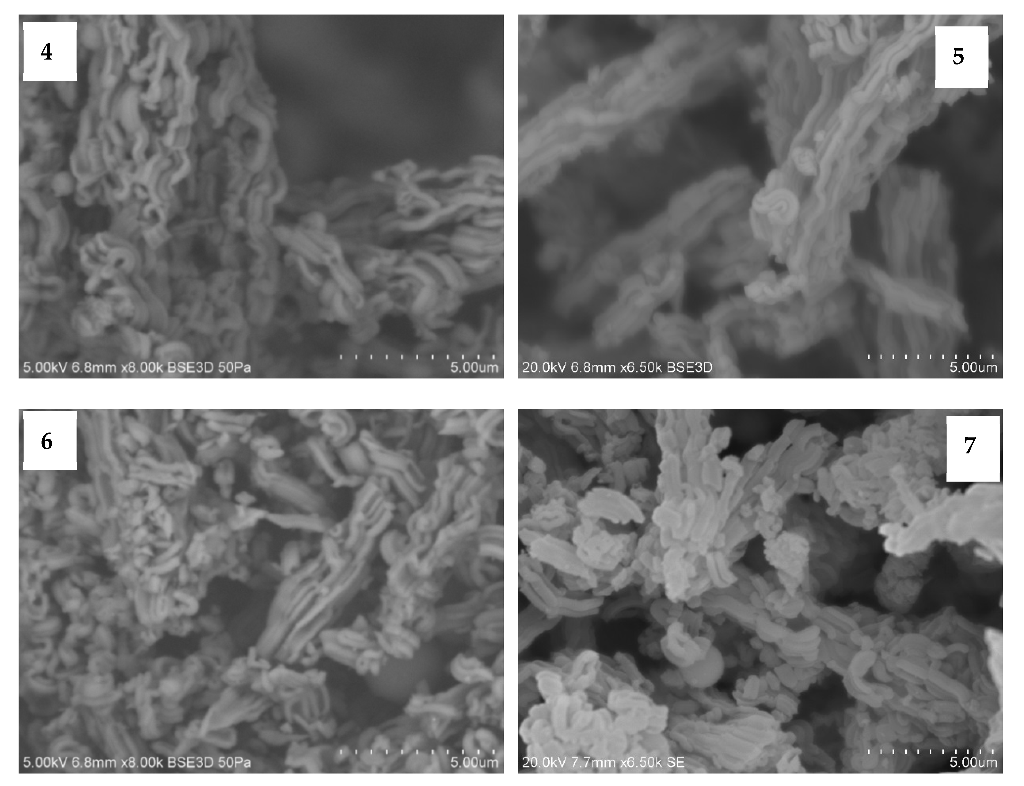 Preprints 150621 g001b