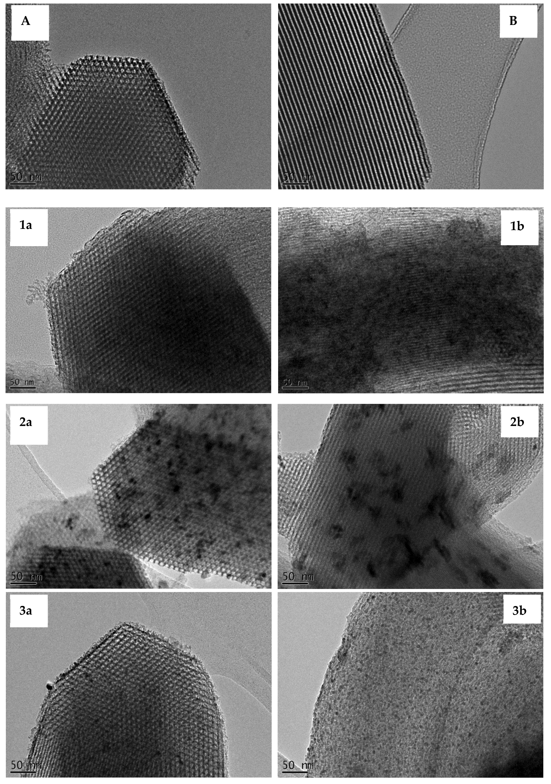 Preprints 150621 g002a