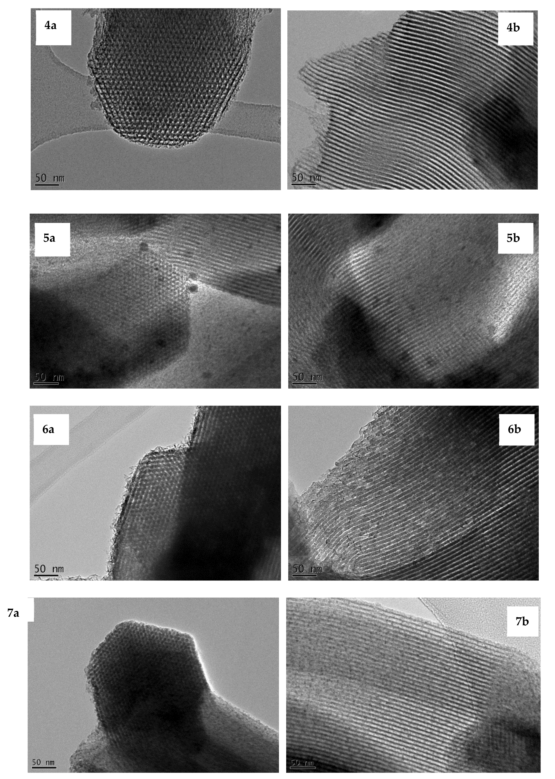 Preprints 150621 g002b
