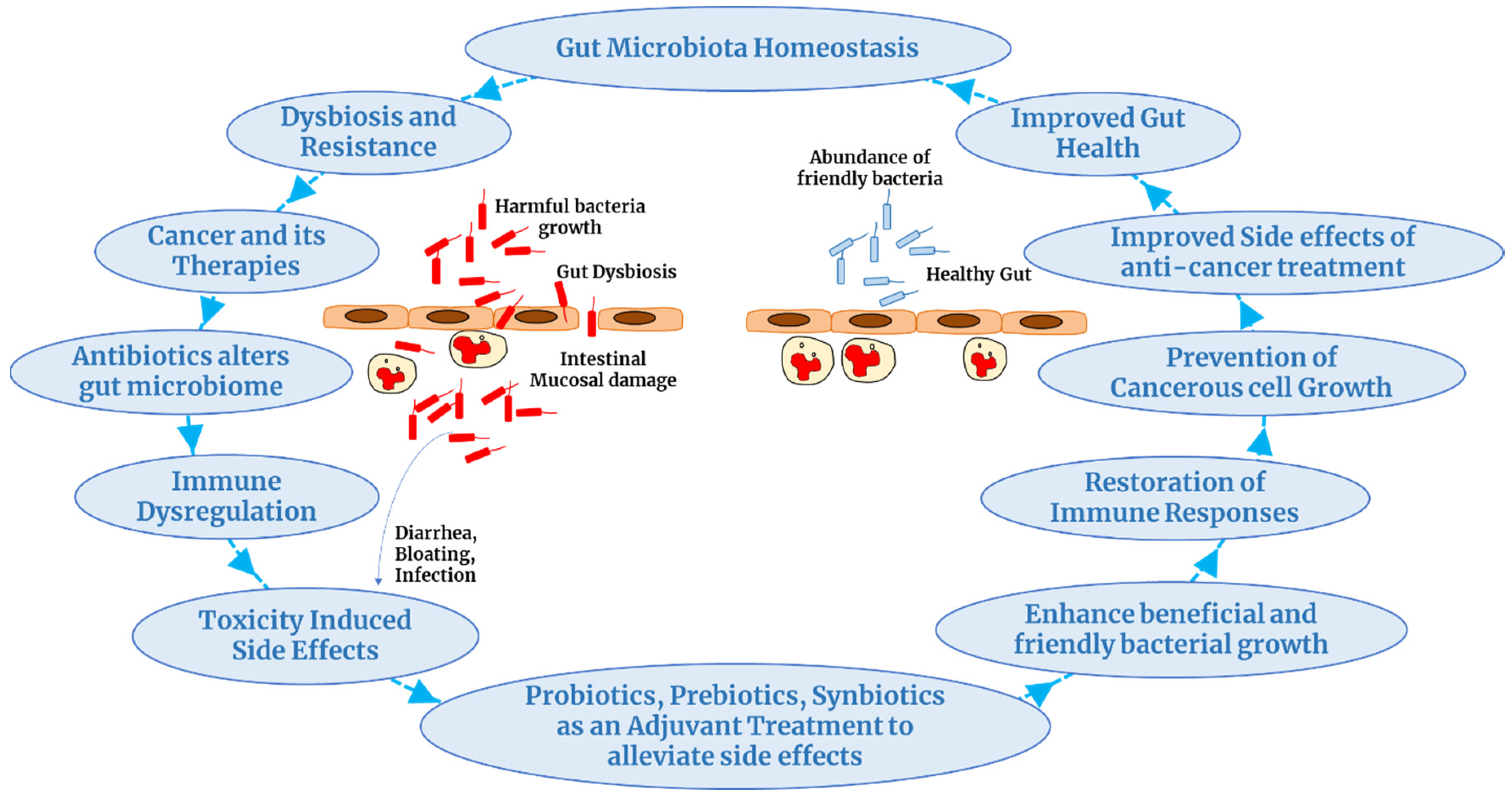 Preprints 97423 g001