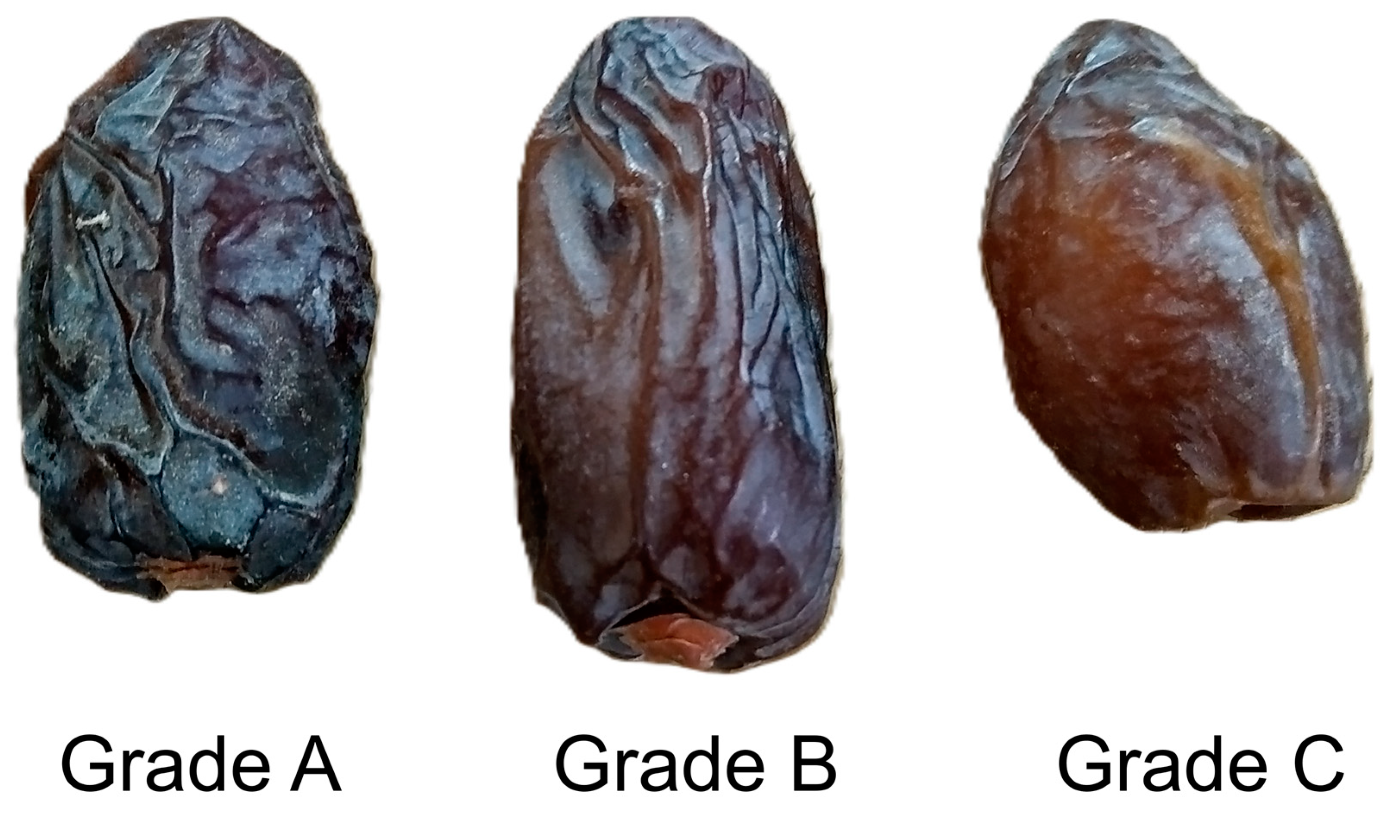 Preprints 145695 g001