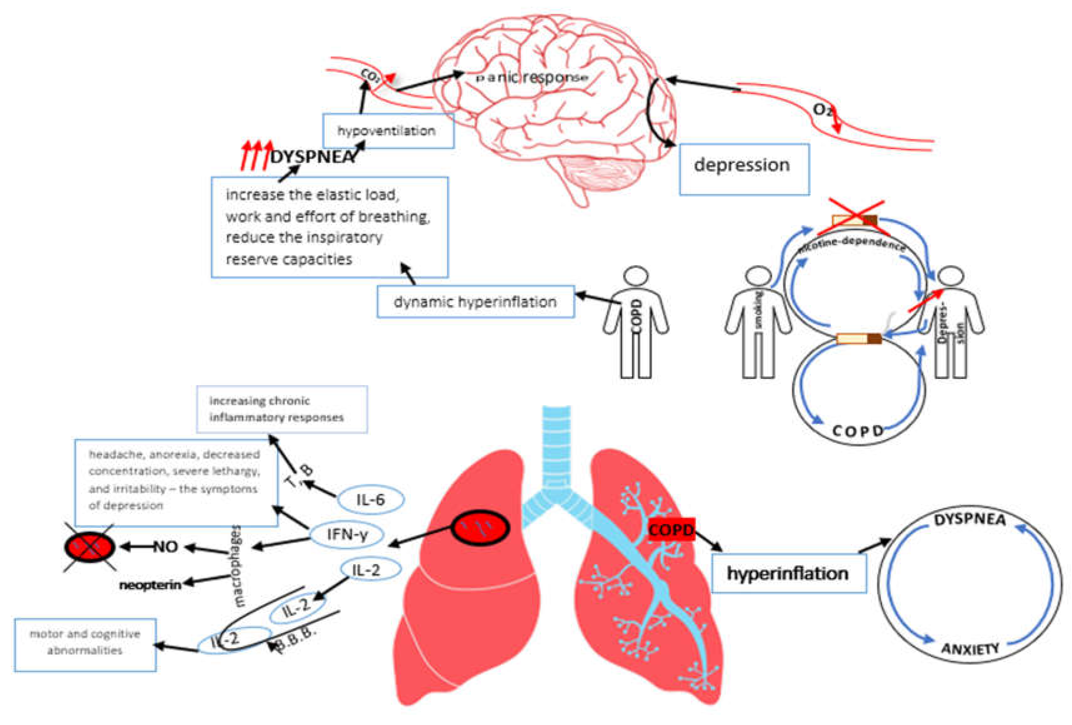 Preprints 153676 g001