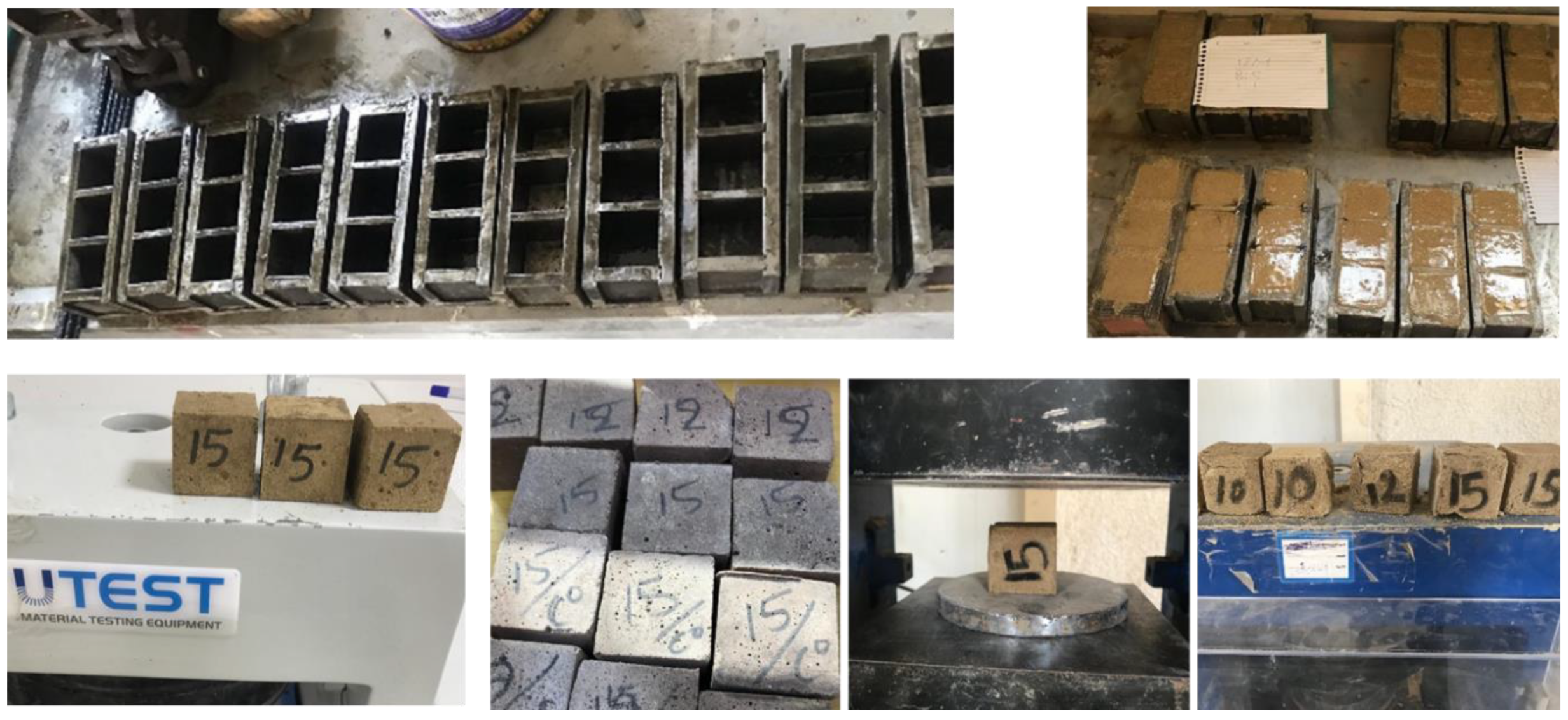 Preprints 149678 g008