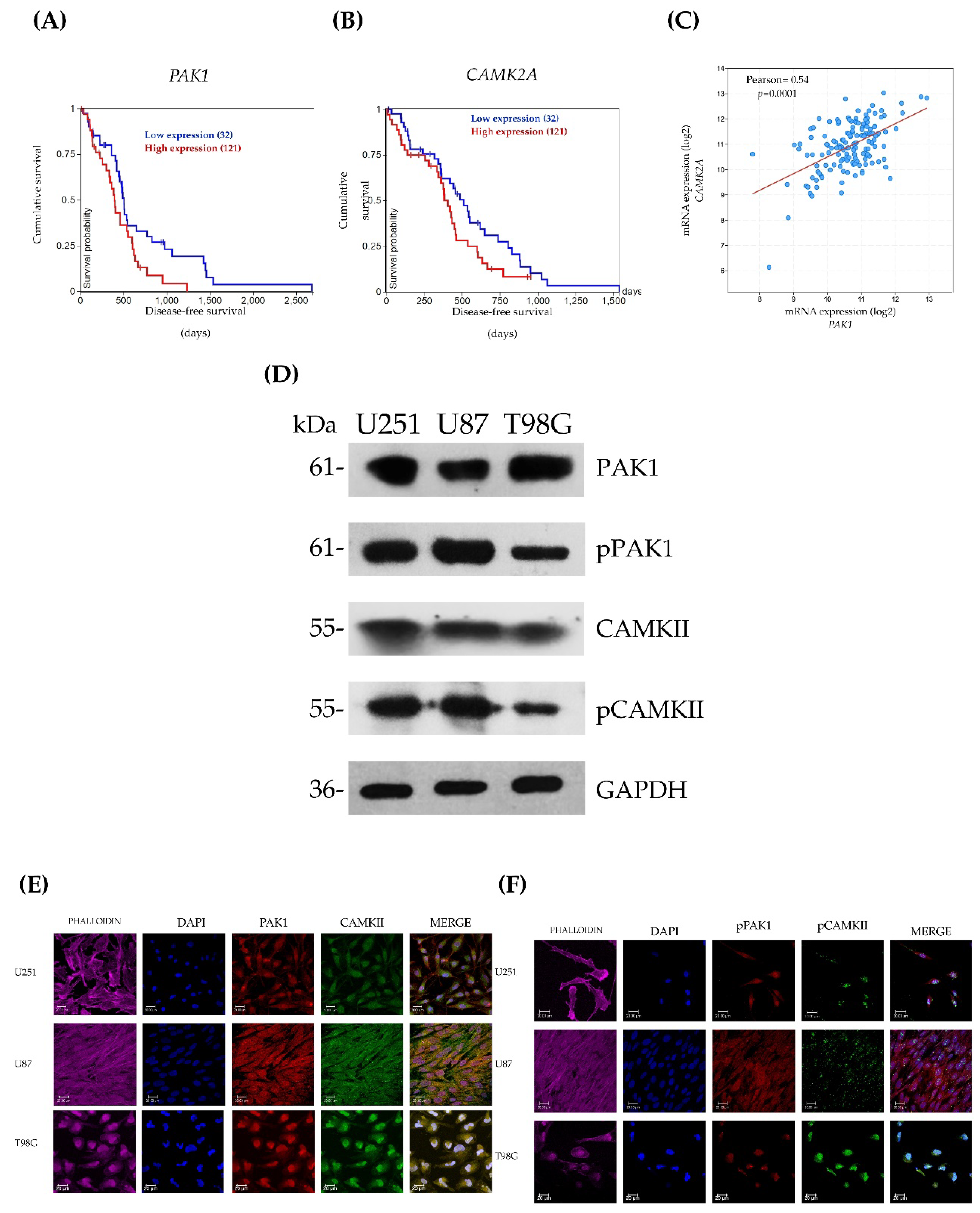Preprints 231281 g001 Preprints 231281 g001
