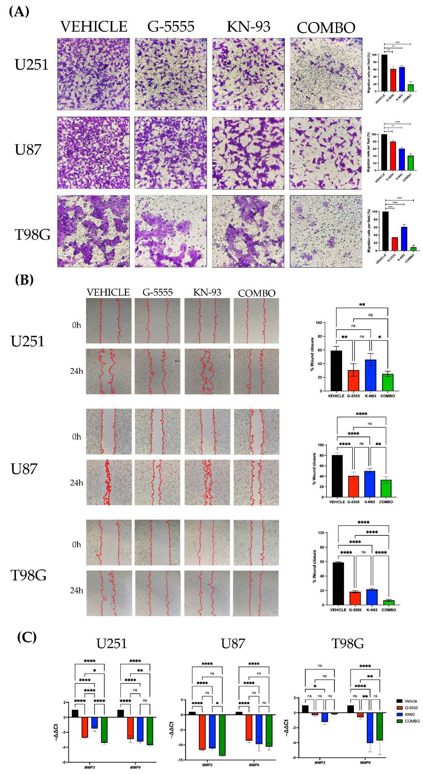 Preprints 231281 g004 Preprints 231281 g004