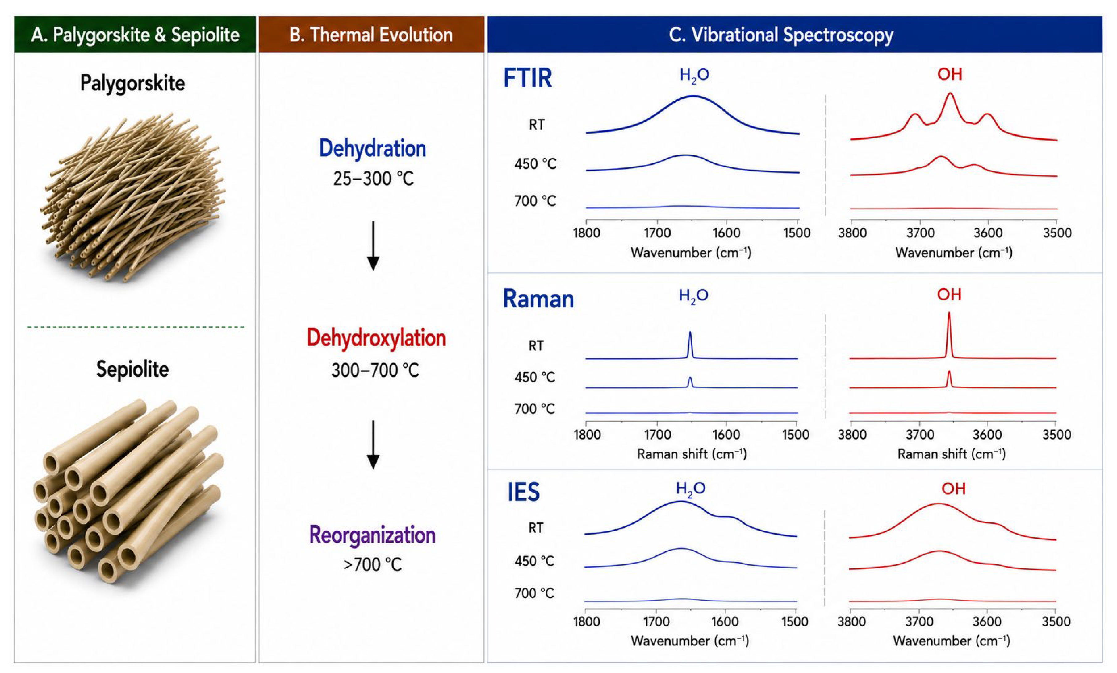Clay Raman Thermal Transformation of Clay Minerals with Increasing Temperature: A ...