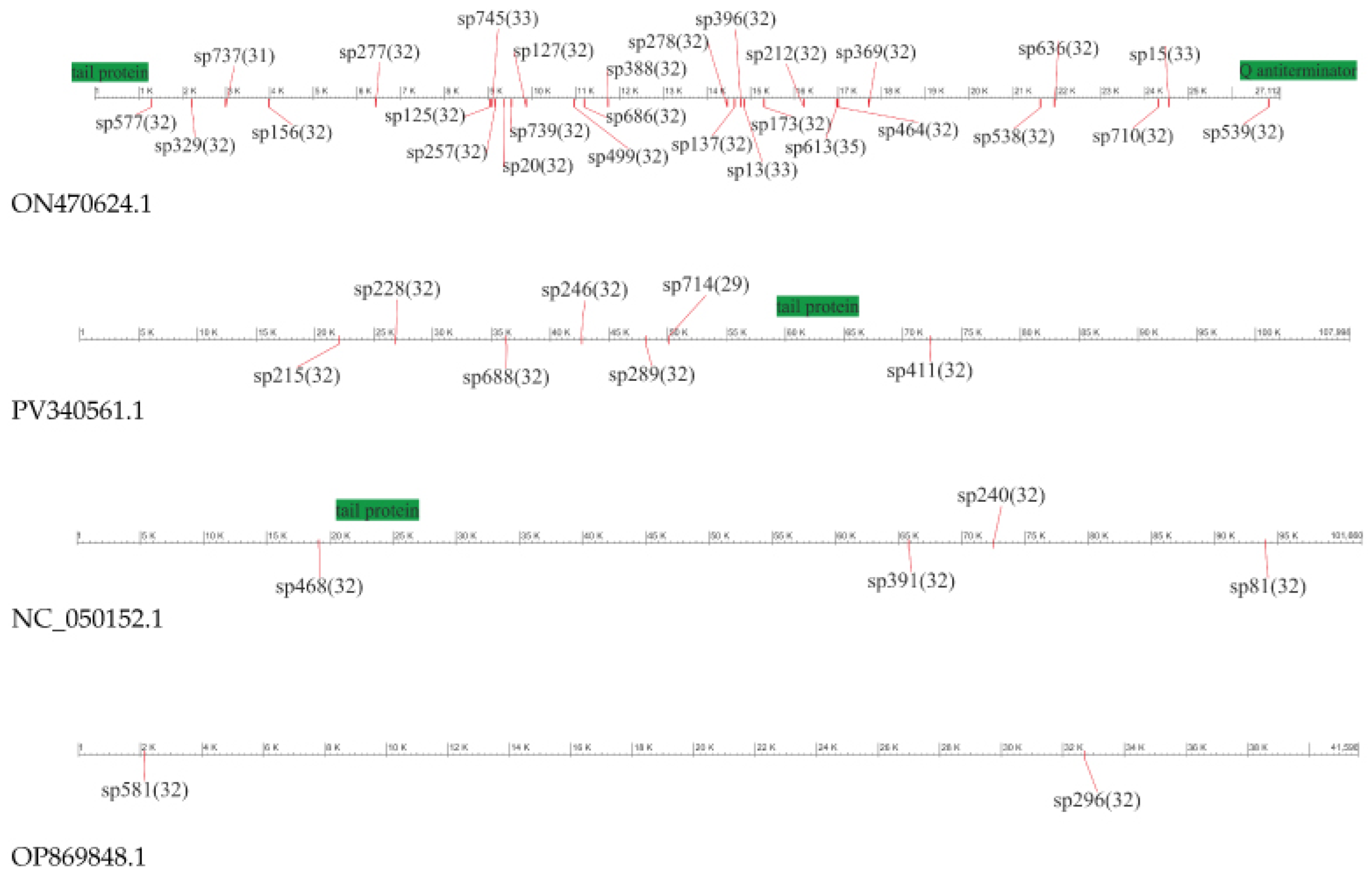 Preprints 182793 g003