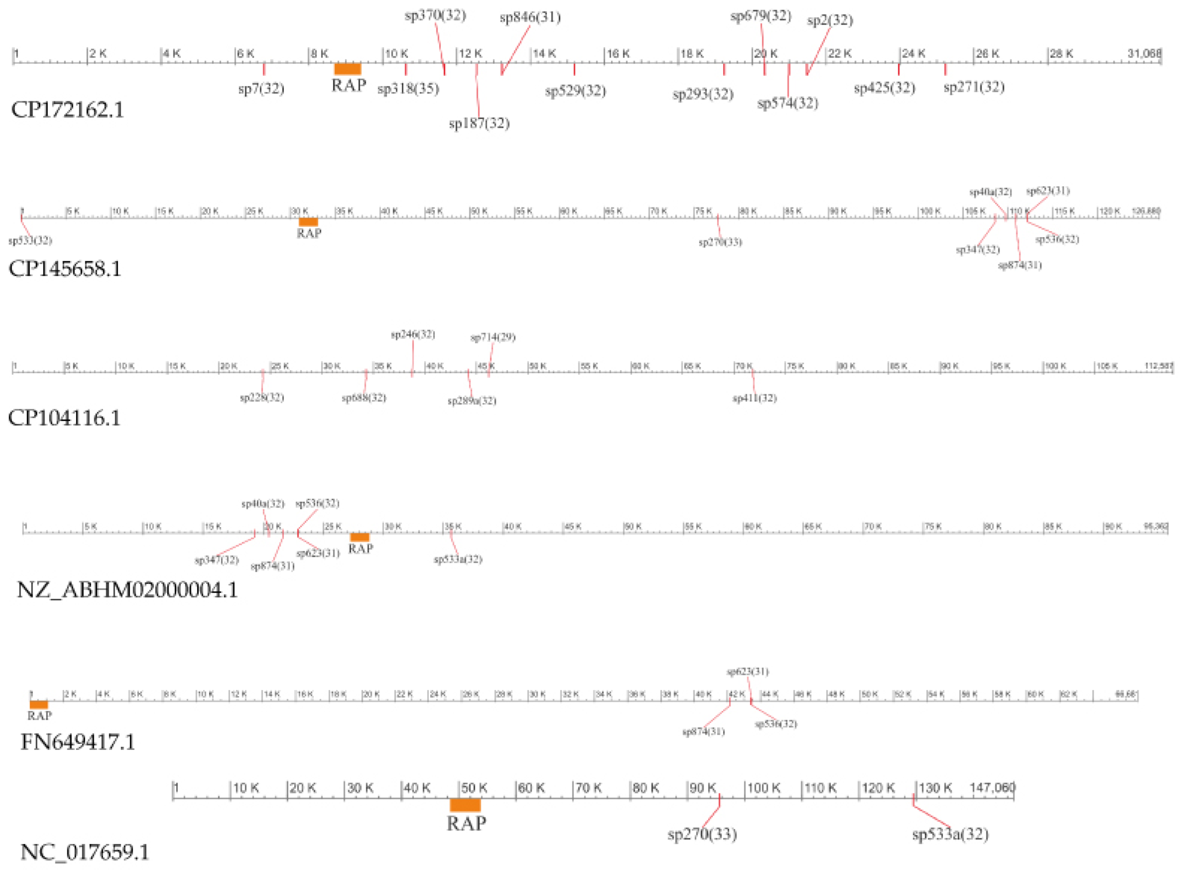 Preprints 182793 g004