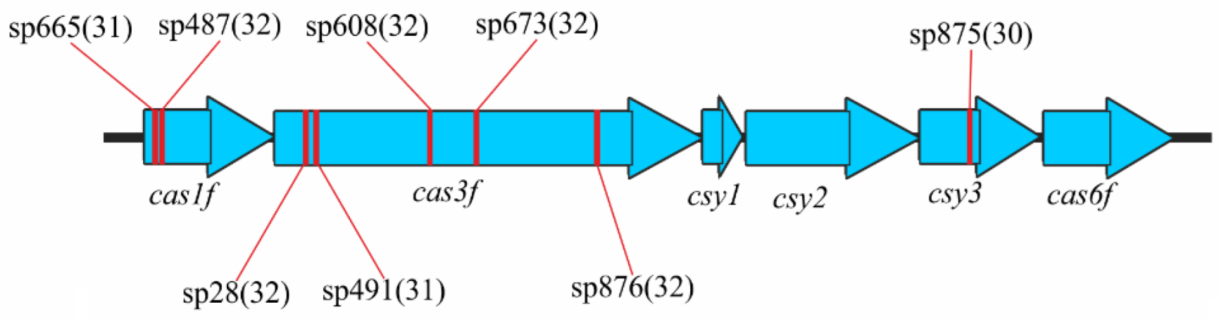 Preprints 182793 g005