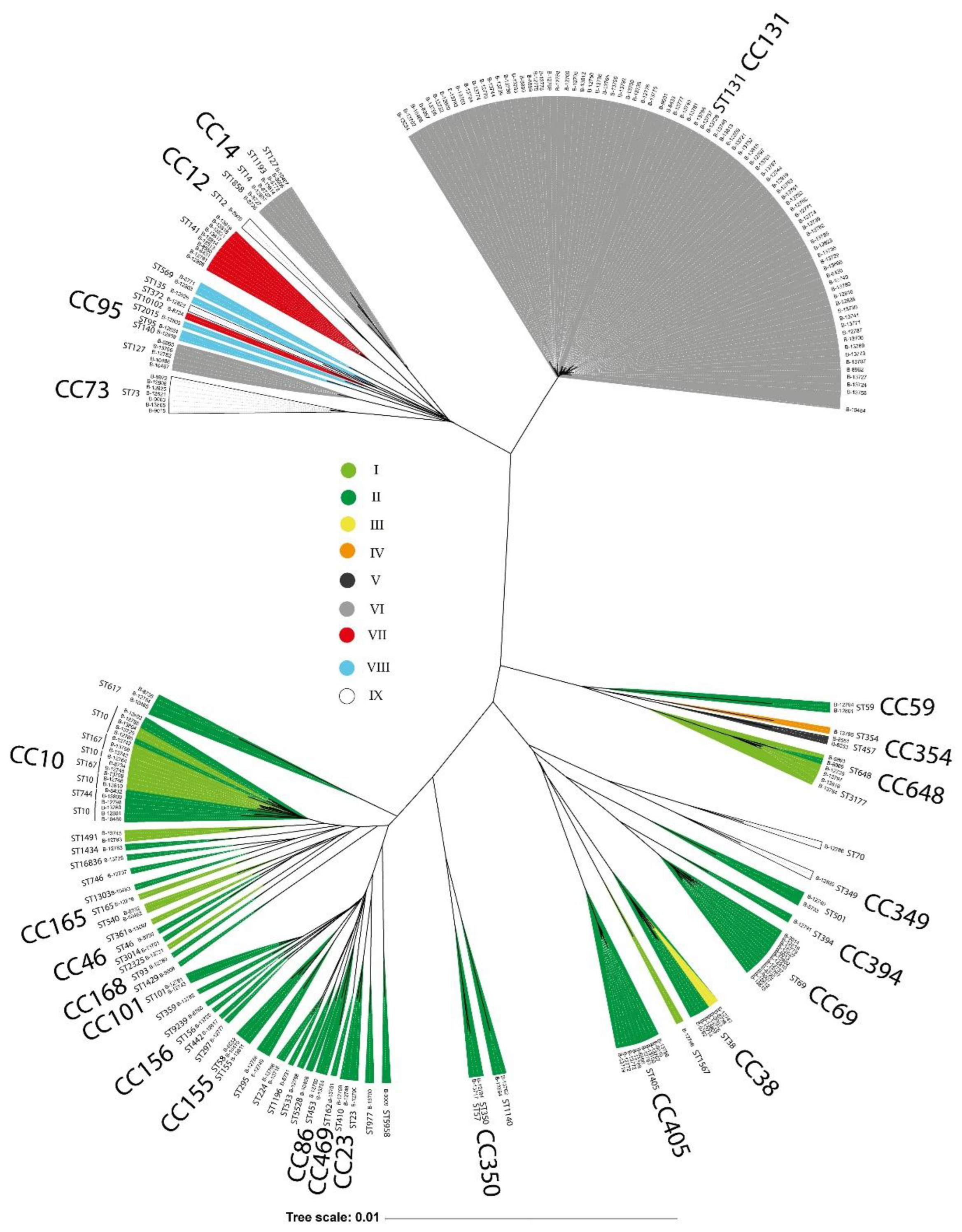 Preprints 182793 g006