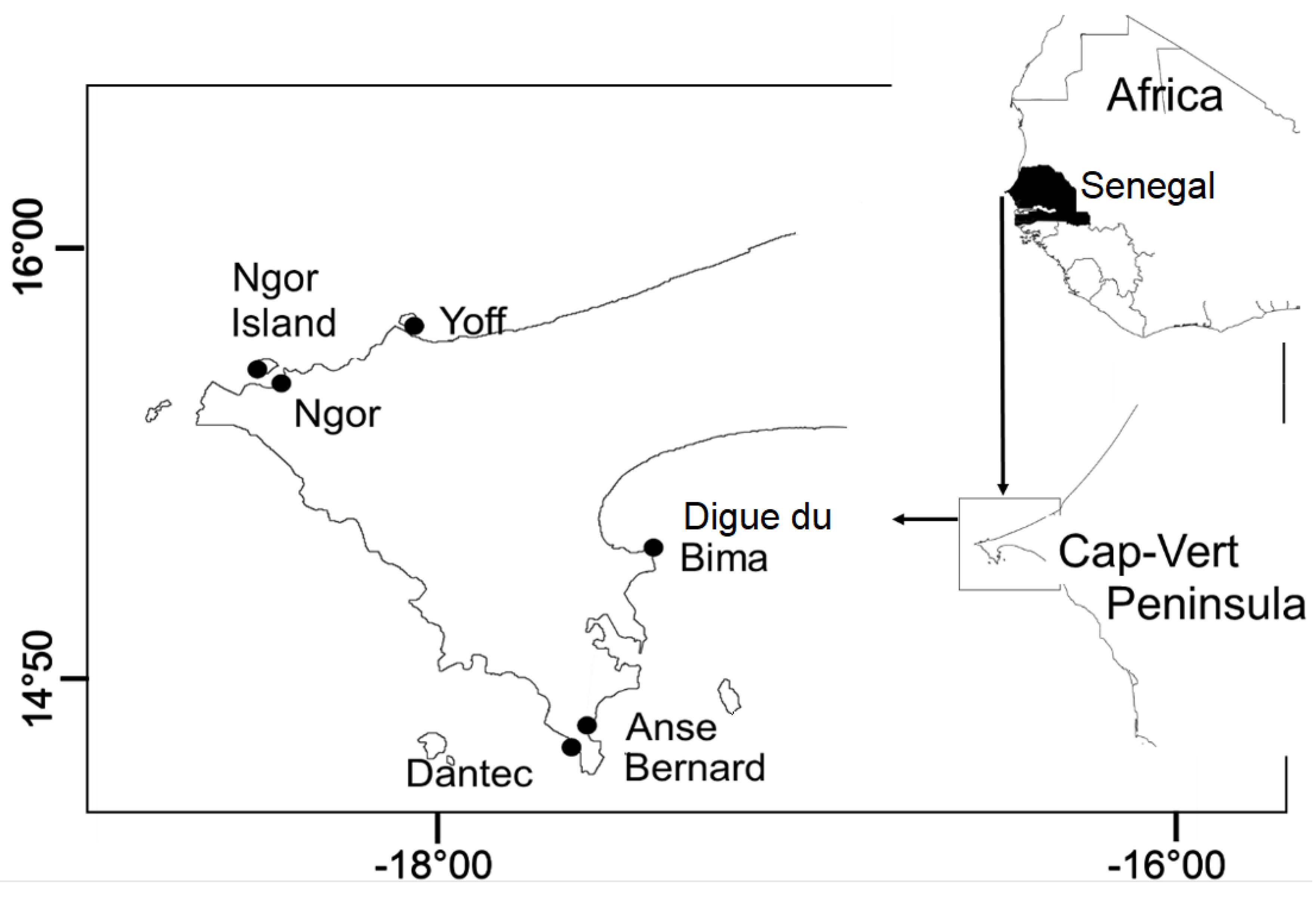Preprints 172530 g001