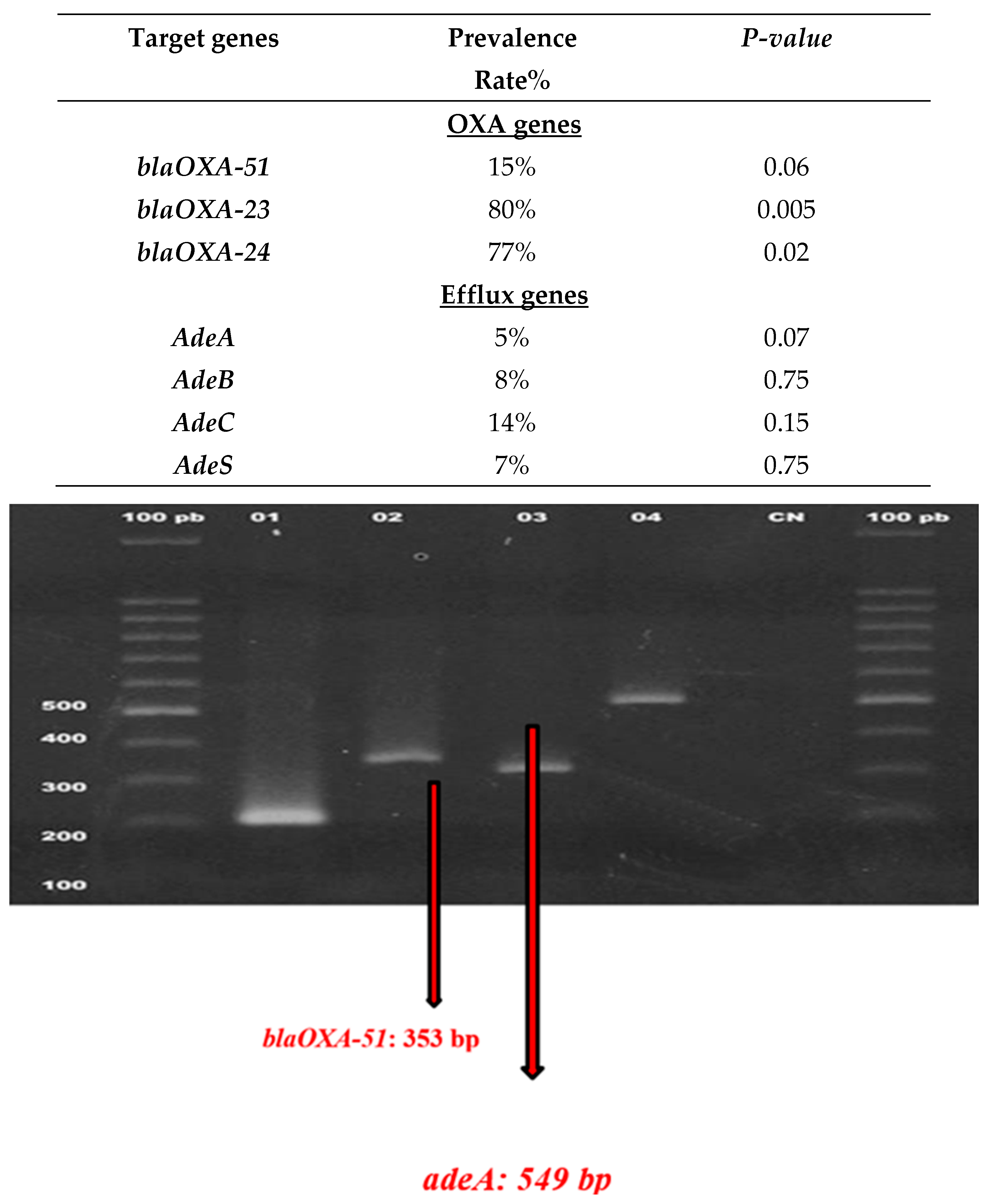 Preprints 146412 g005