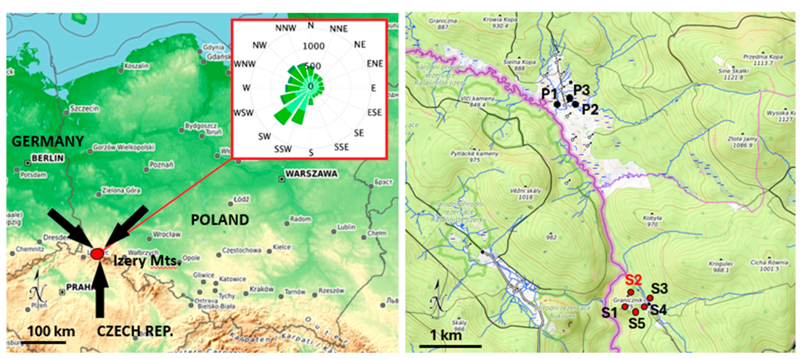 Preprints 138035 g001