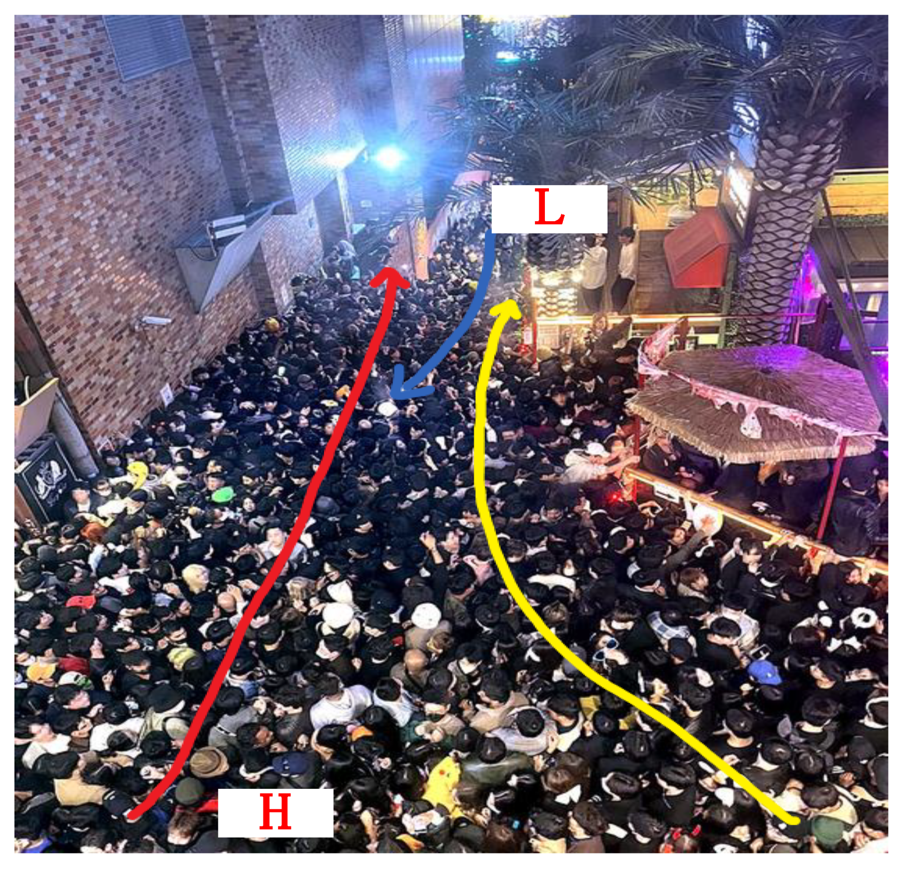 Preprints 155758 g007