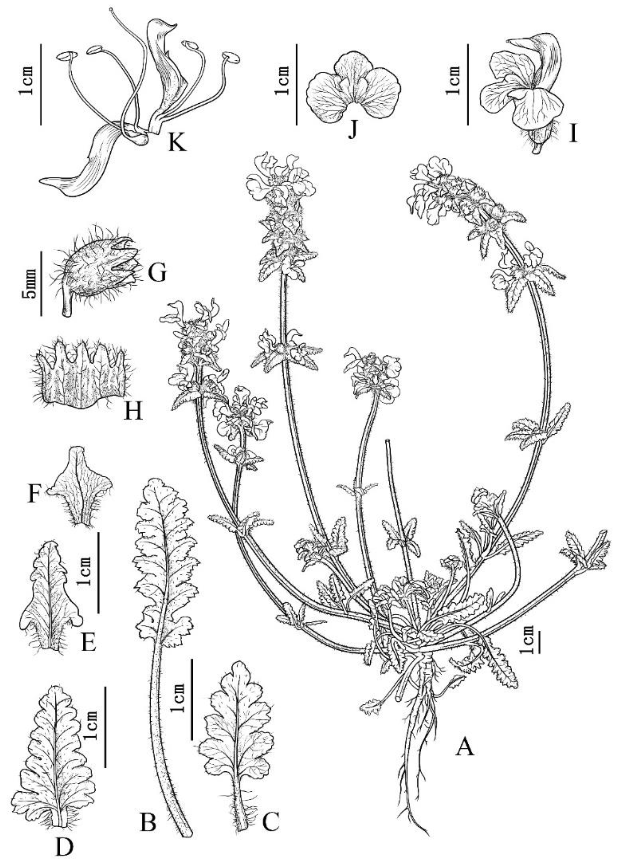 Preprints 206925 g001